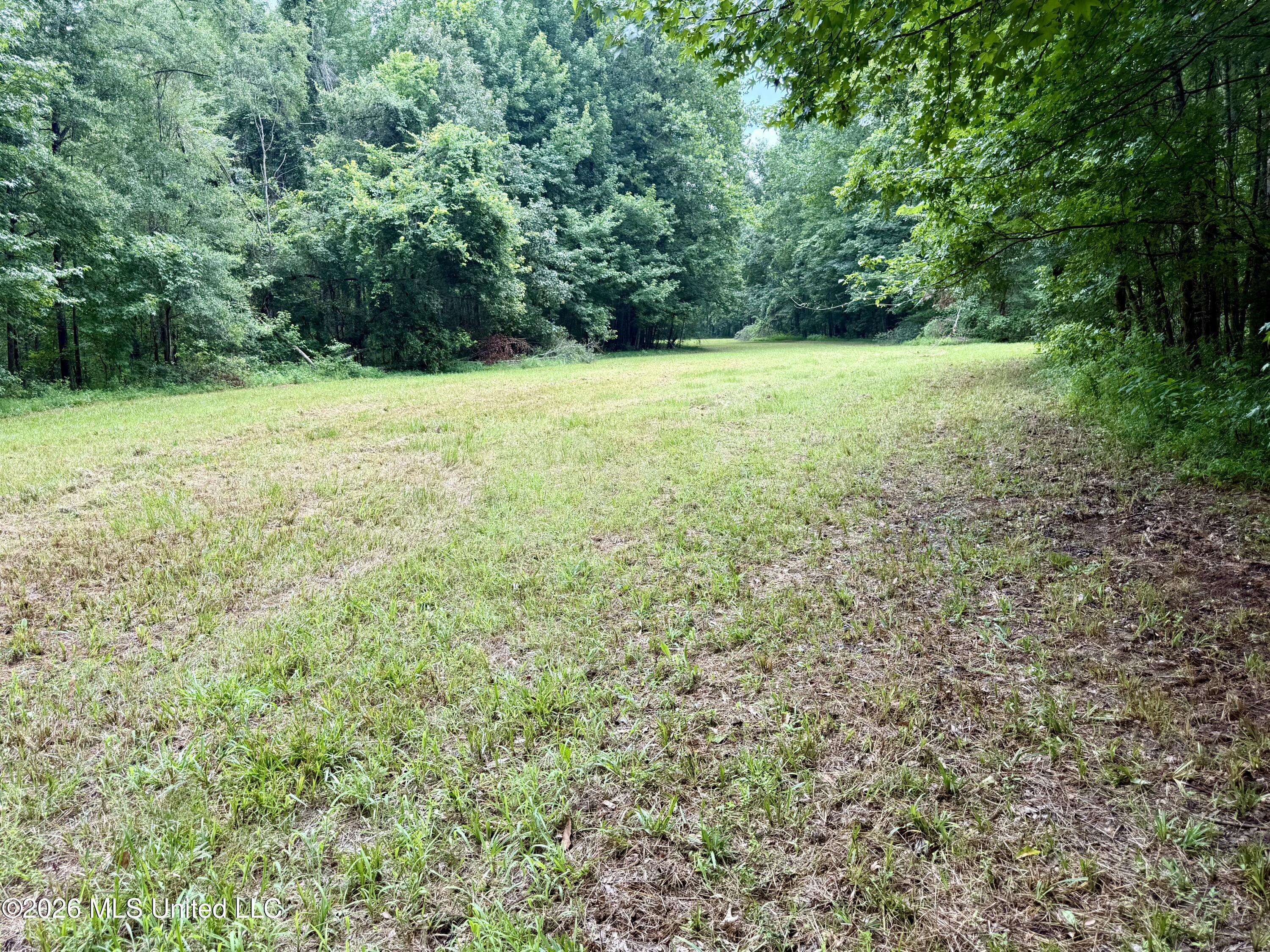 568 Smith Bailey Road Property Photo 66
