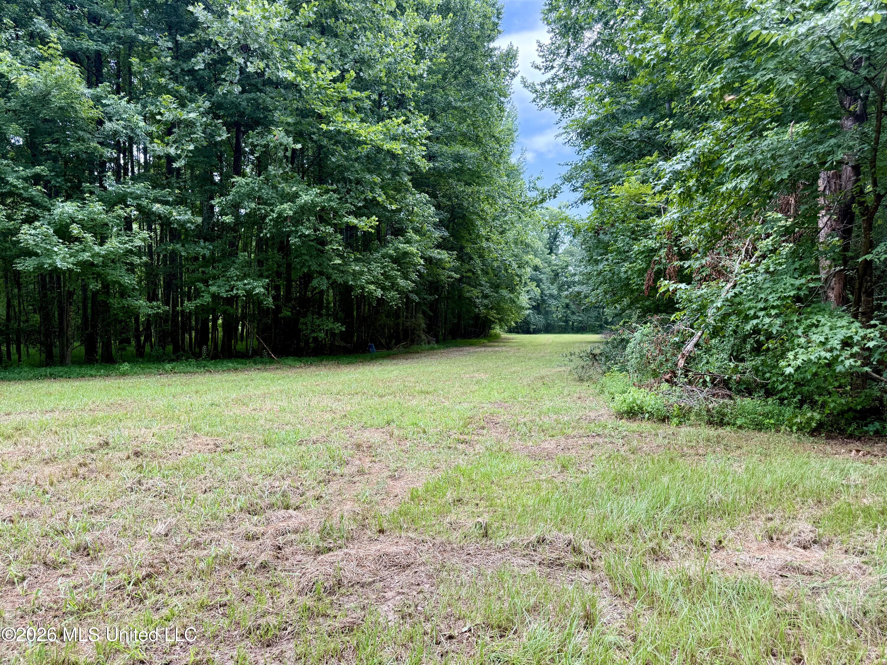 568 Smith Bailey Road Property Photo 67