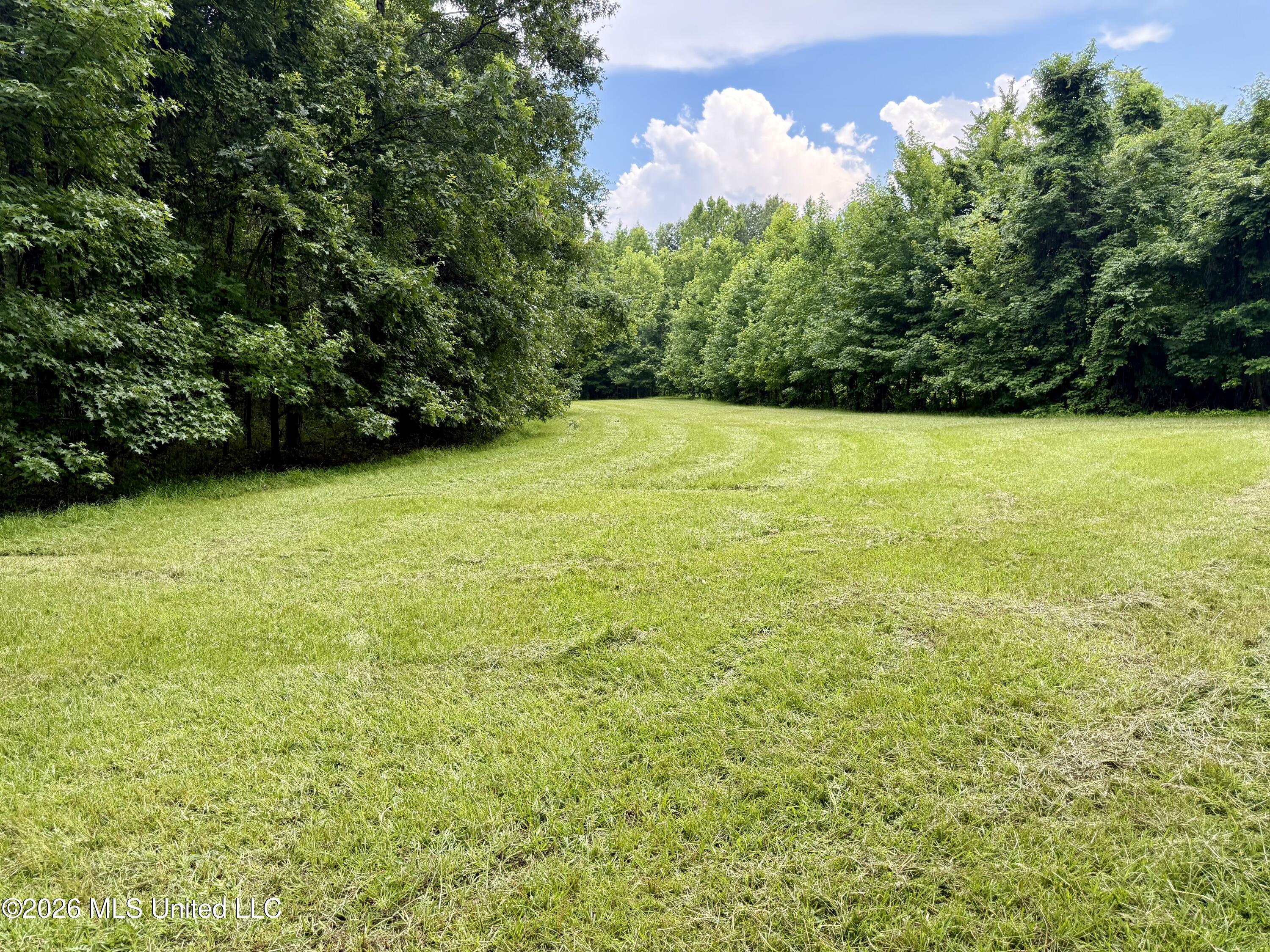 568 Smith Bailey Road Property Photo 68