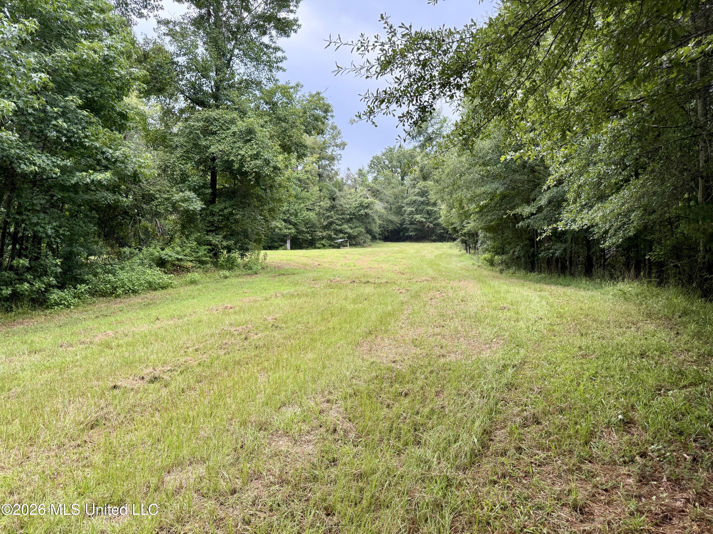 568 Smith Bailey Road Property Photo 70