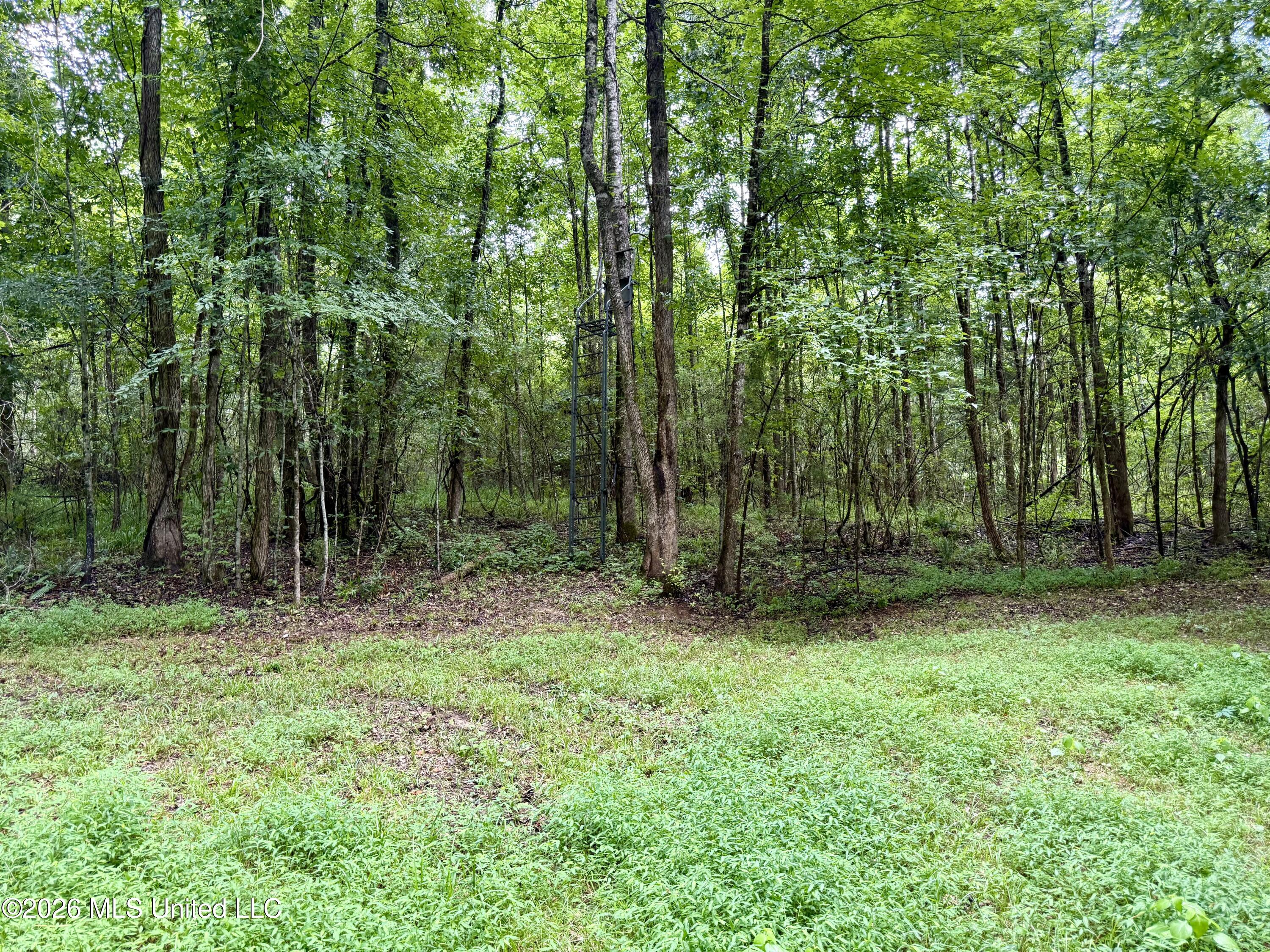 568 Smith Bailey Road Property Photo 71