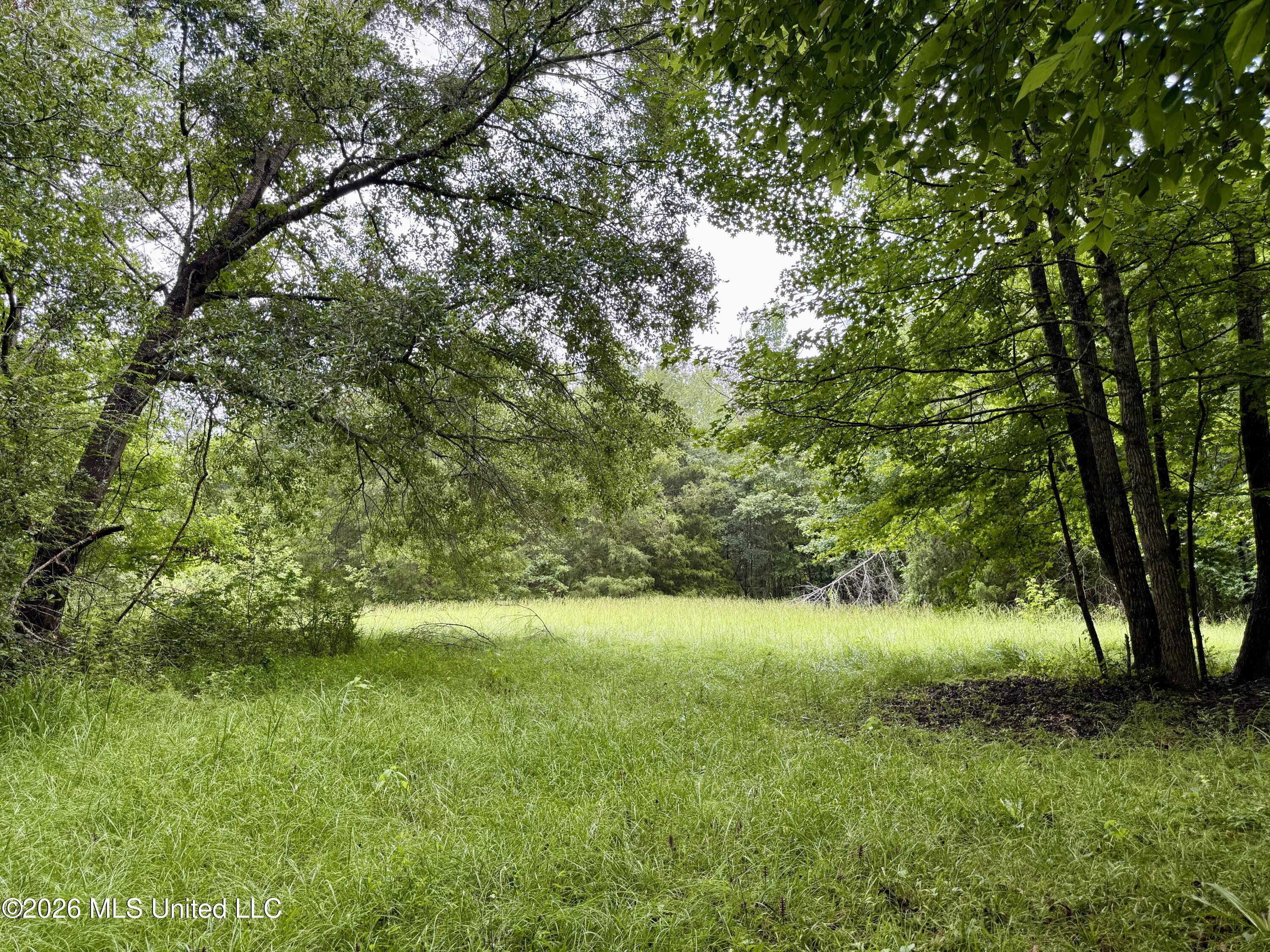 568 Smith Bailey Road Property Photo 72