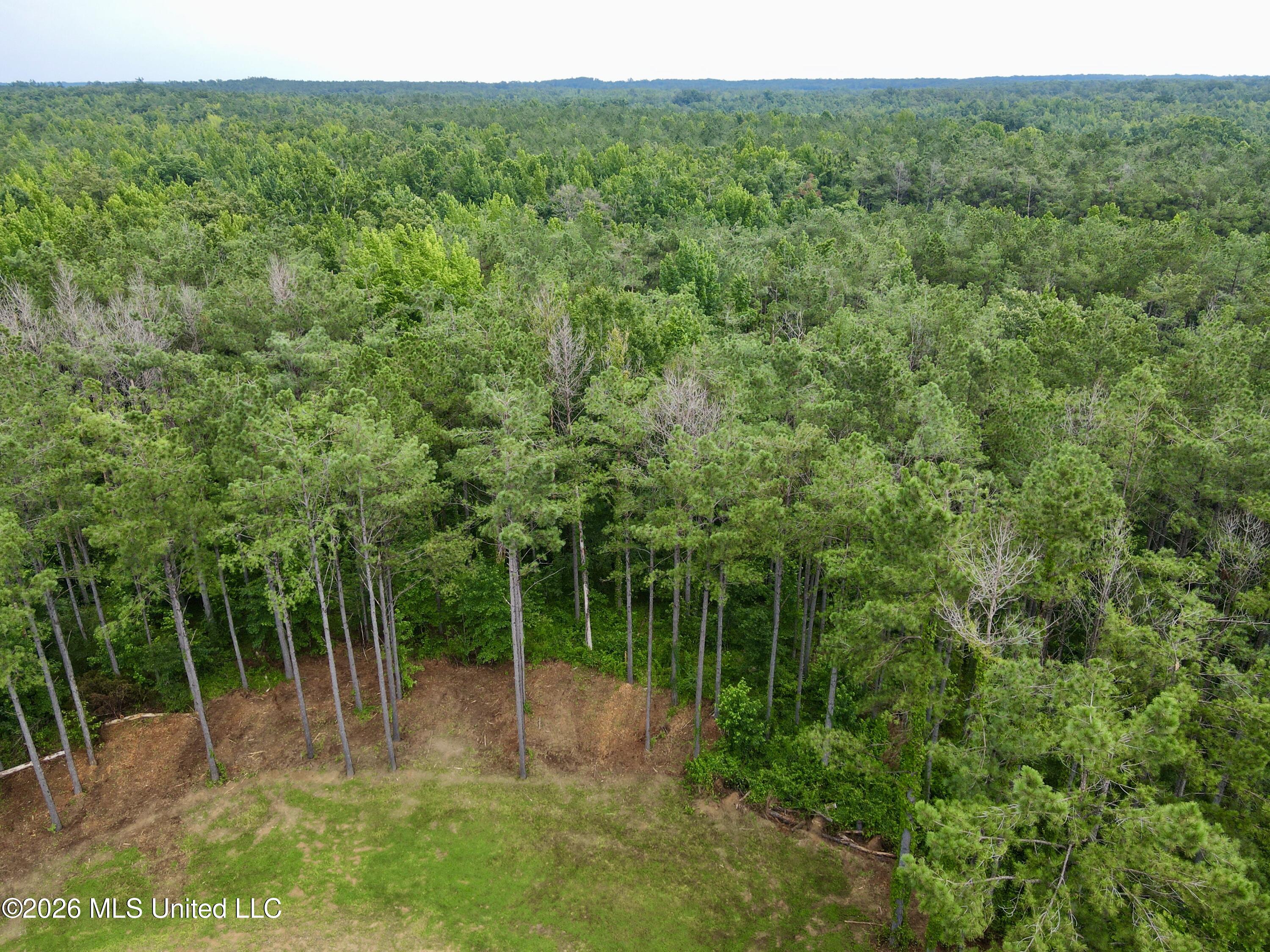 568 Smith Bailey Road Property Photo 73