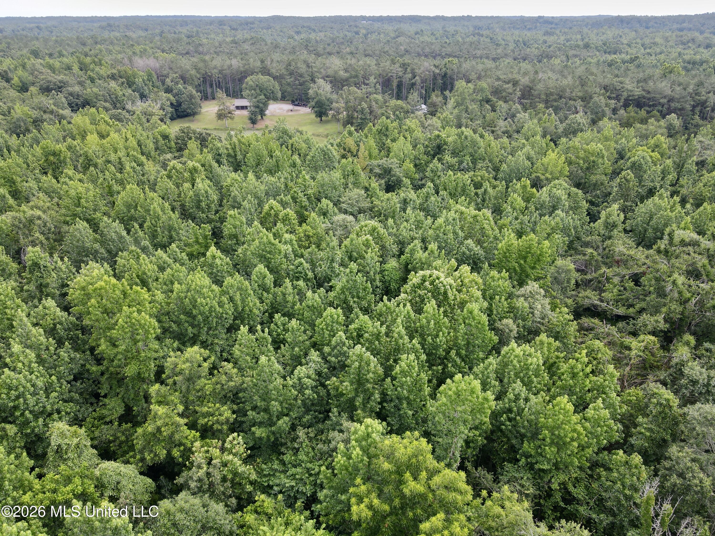 568 Smith Bailey Road Property Photo 75