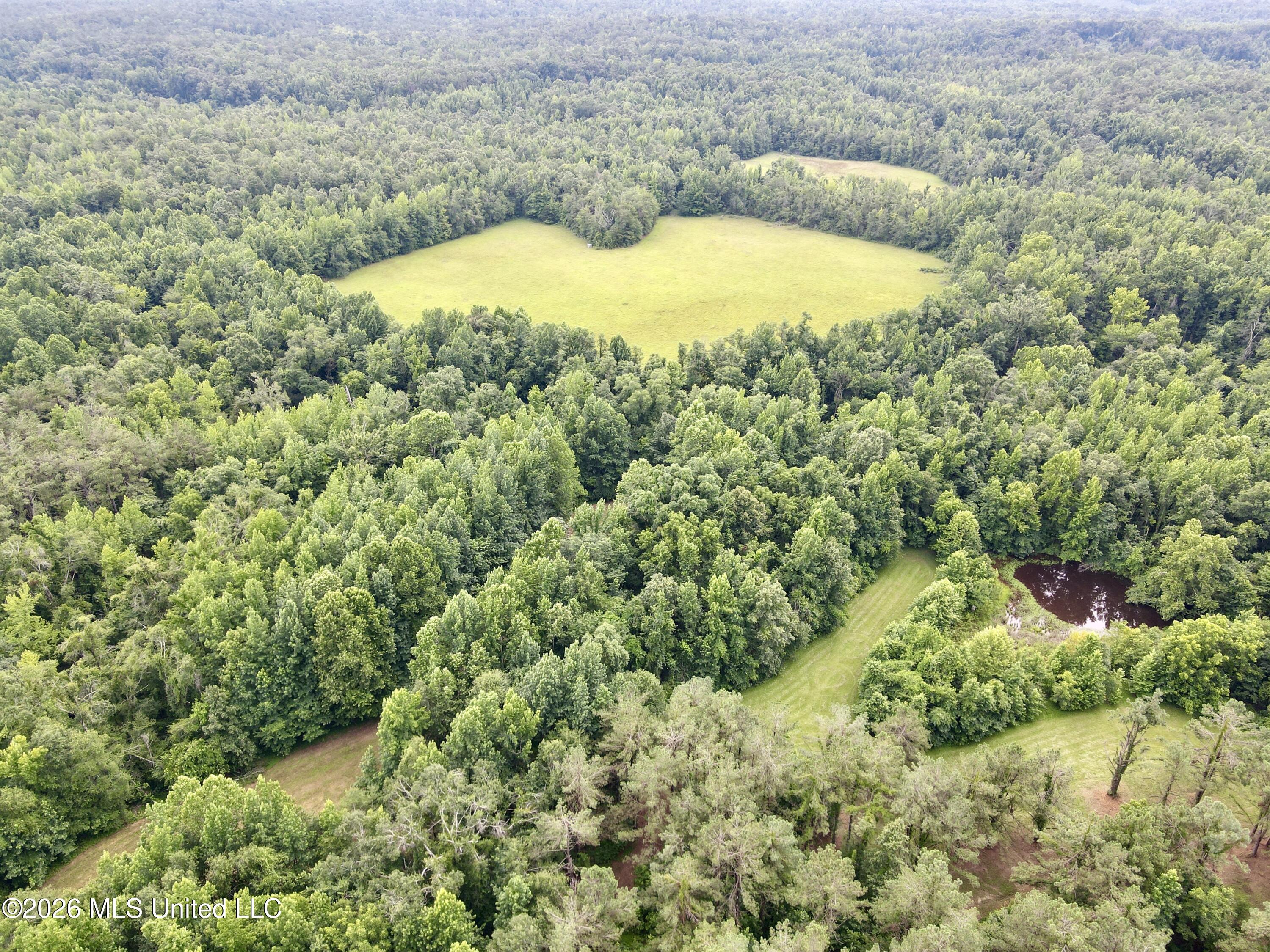 568 Smith Bailey Road Property Photo 77
