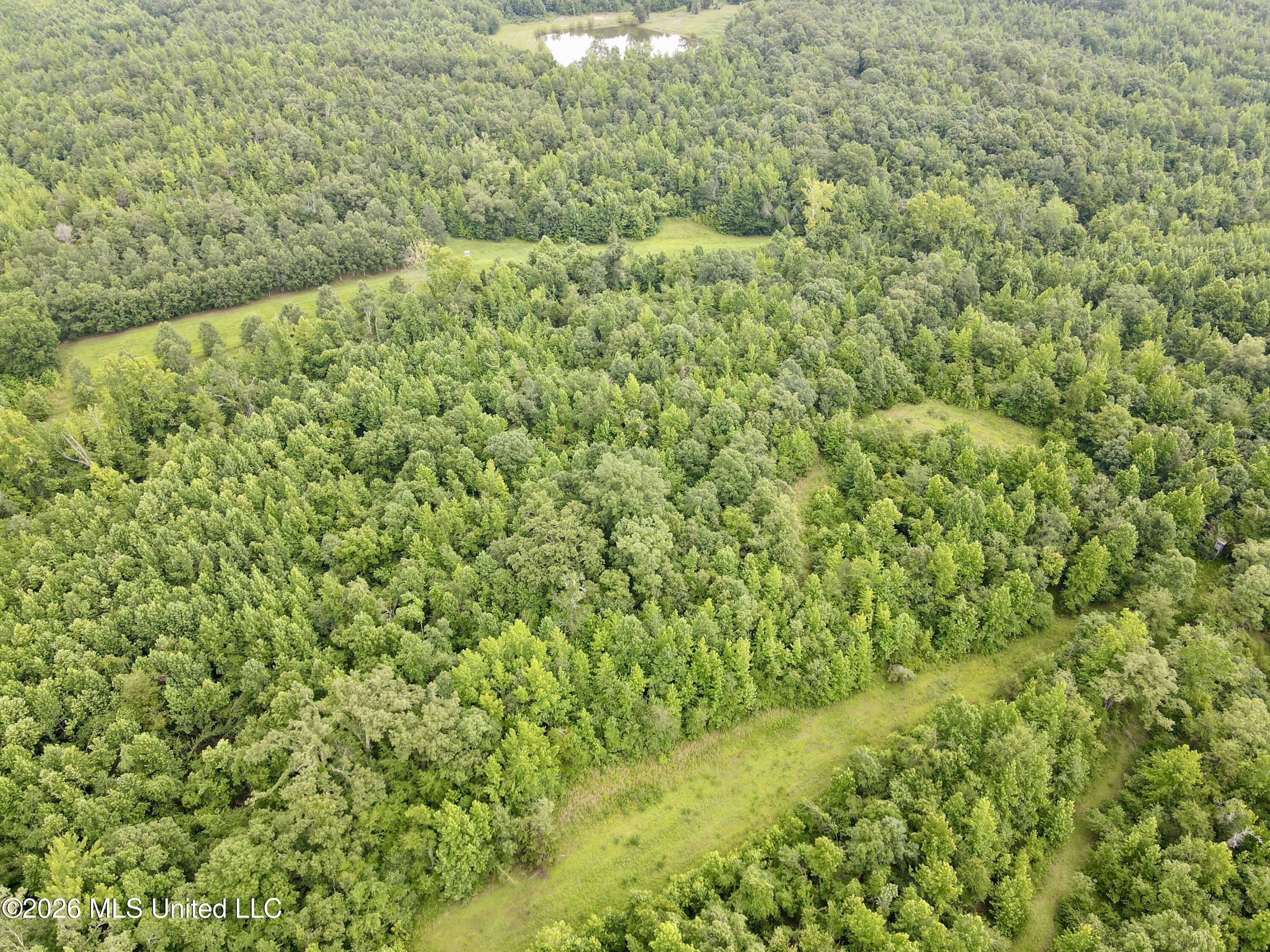 568 Smith Bailey Road Property Photo 78