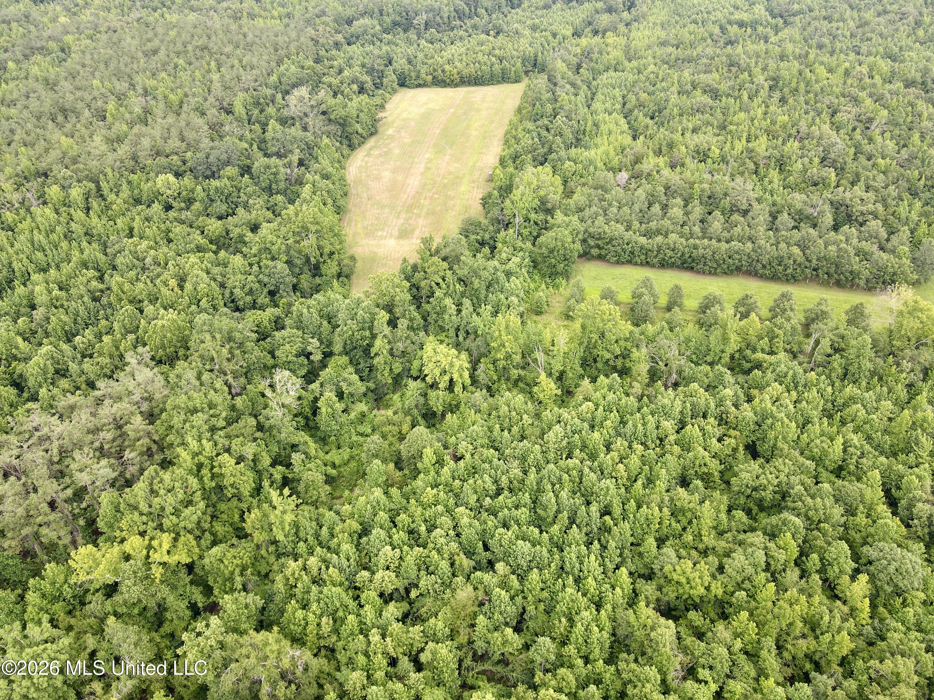 568 Smith Bailey Road Property Photo 79