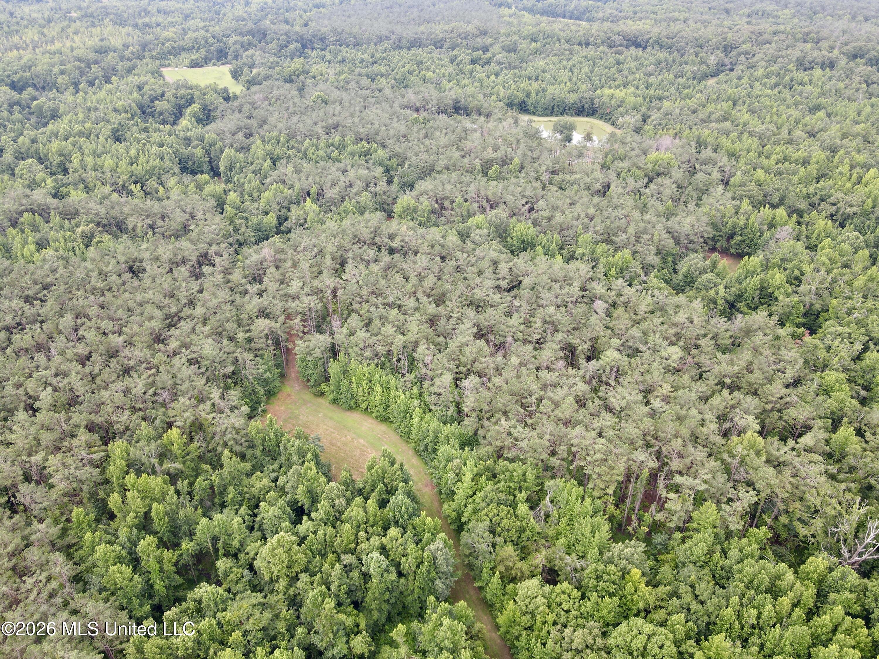 568 Smith Bailey Road Property Photo 80