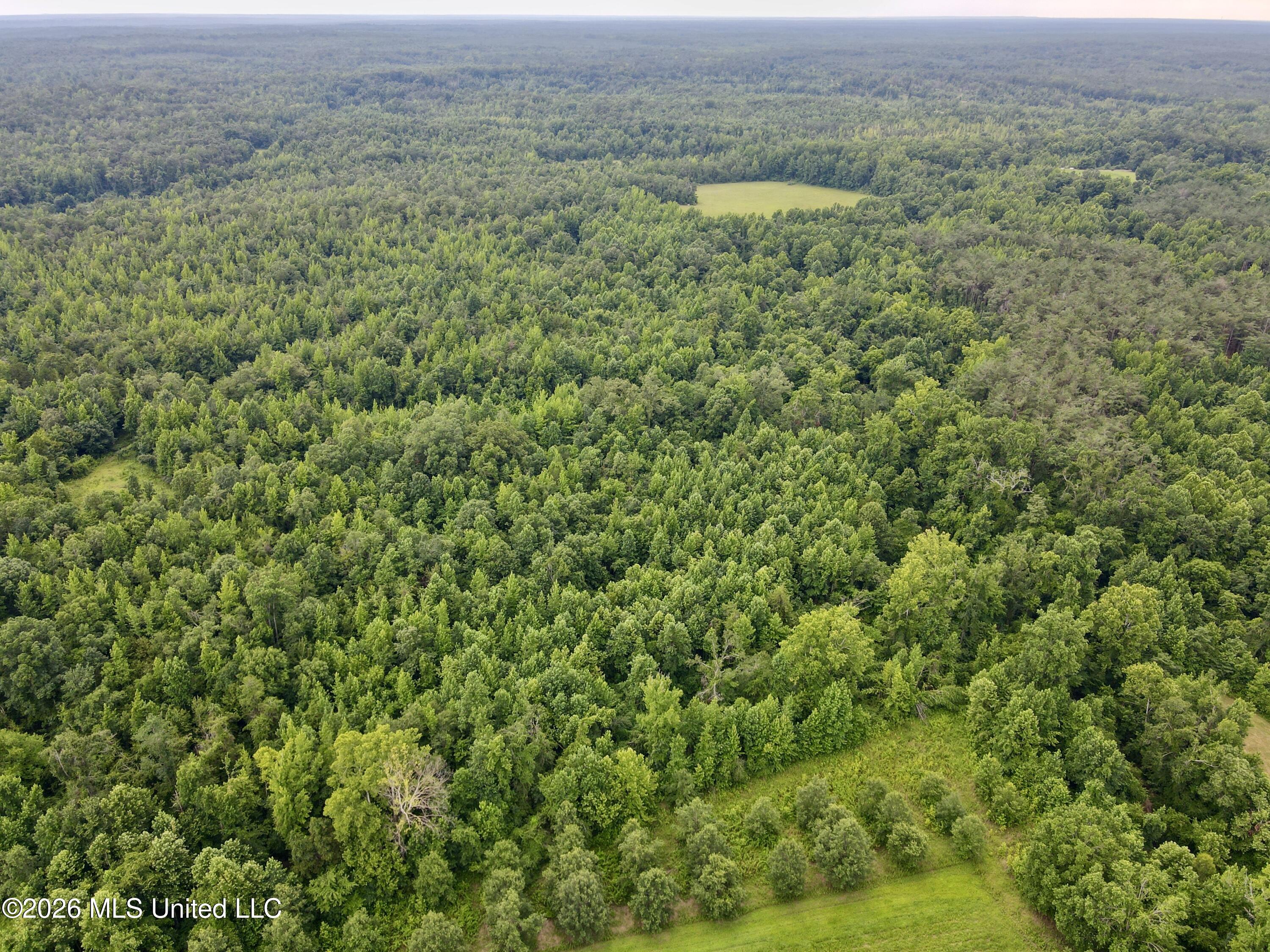 568 Smith Bailey Road Property Photo 81