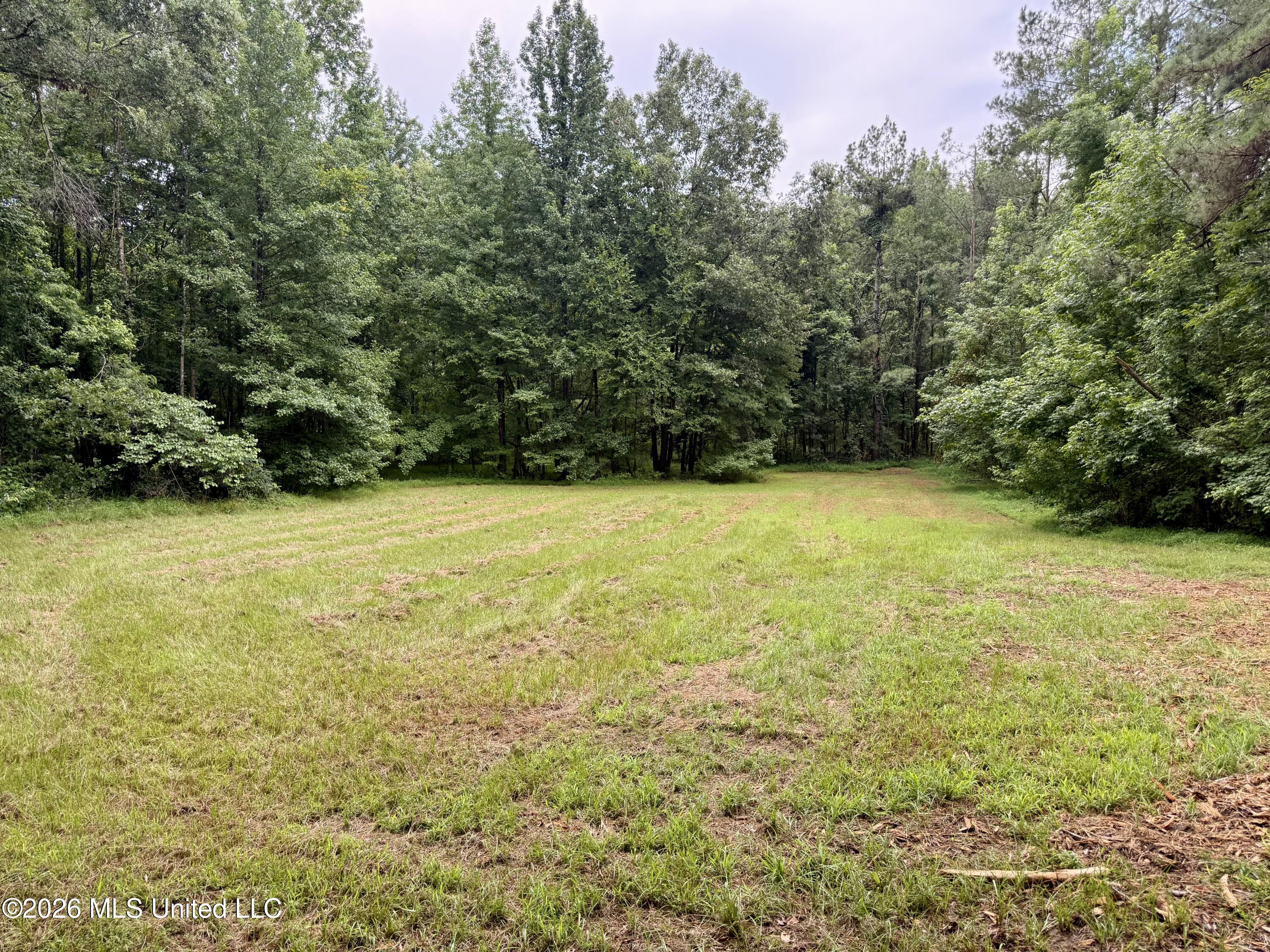 568 Smith Bailey Road Property Photo 85