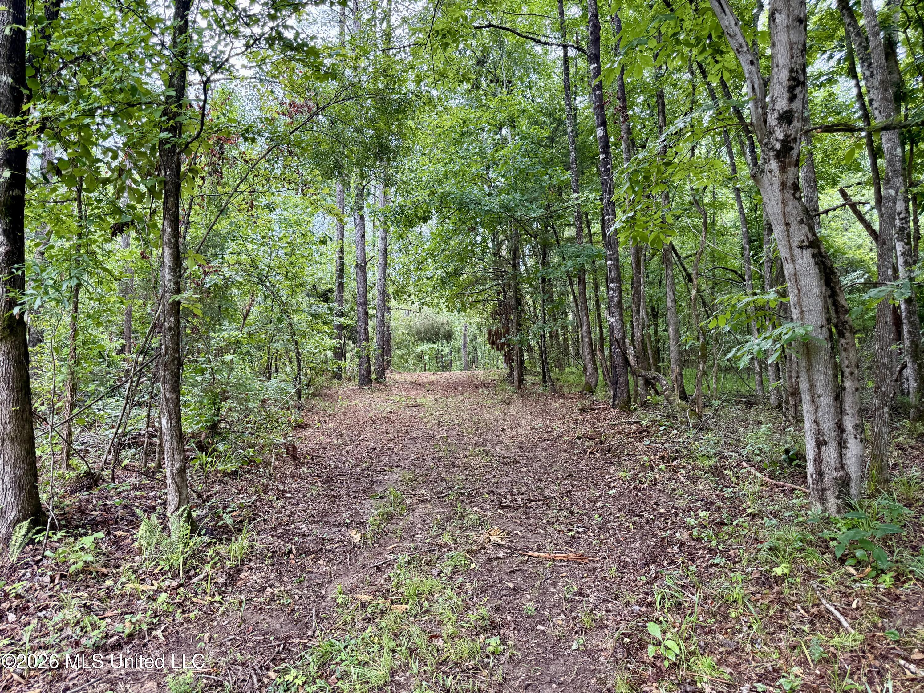 568 Smith Bailey Road Property Photo 86