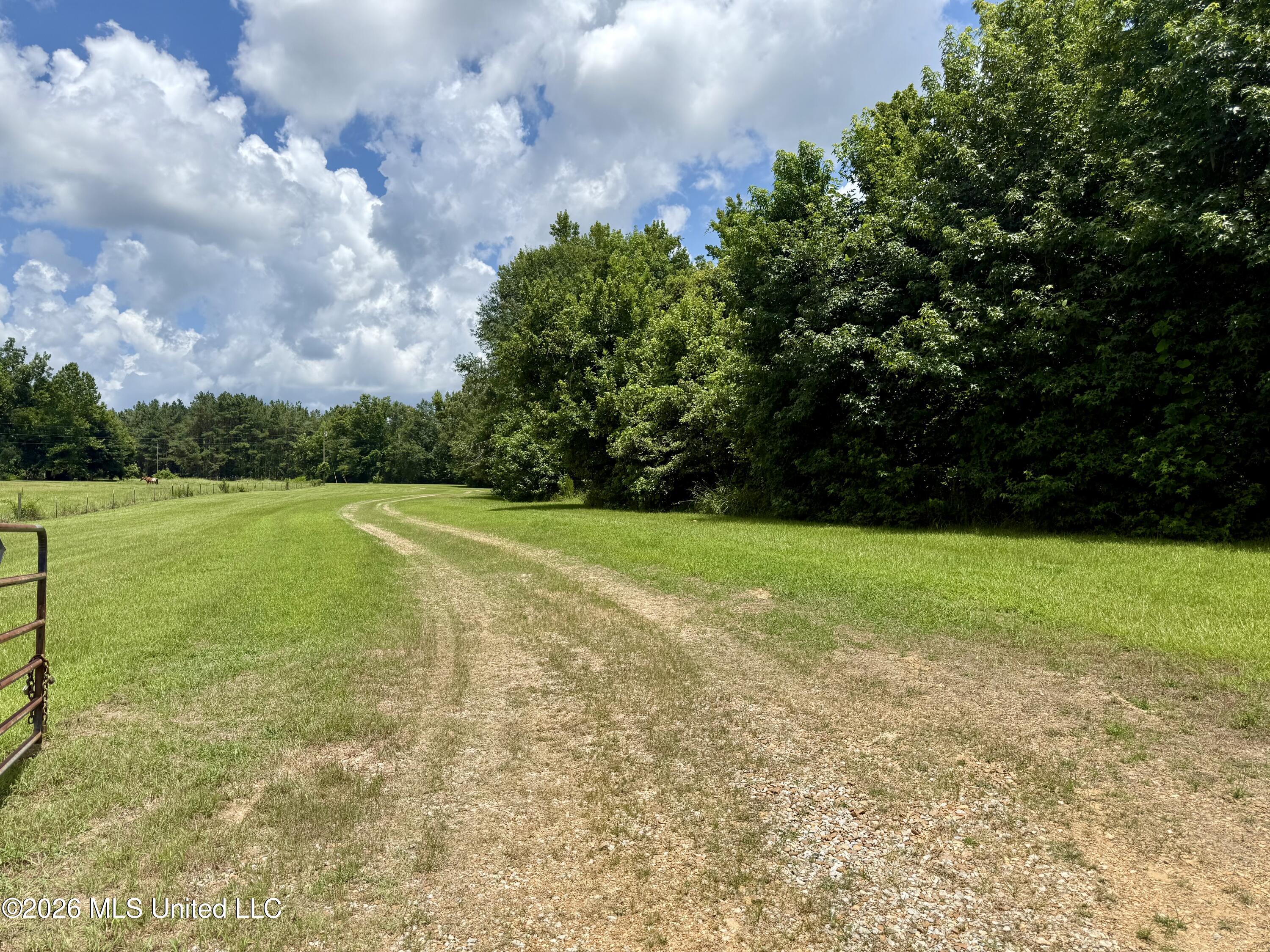 568 Smith Bailey Road Property Photo 88