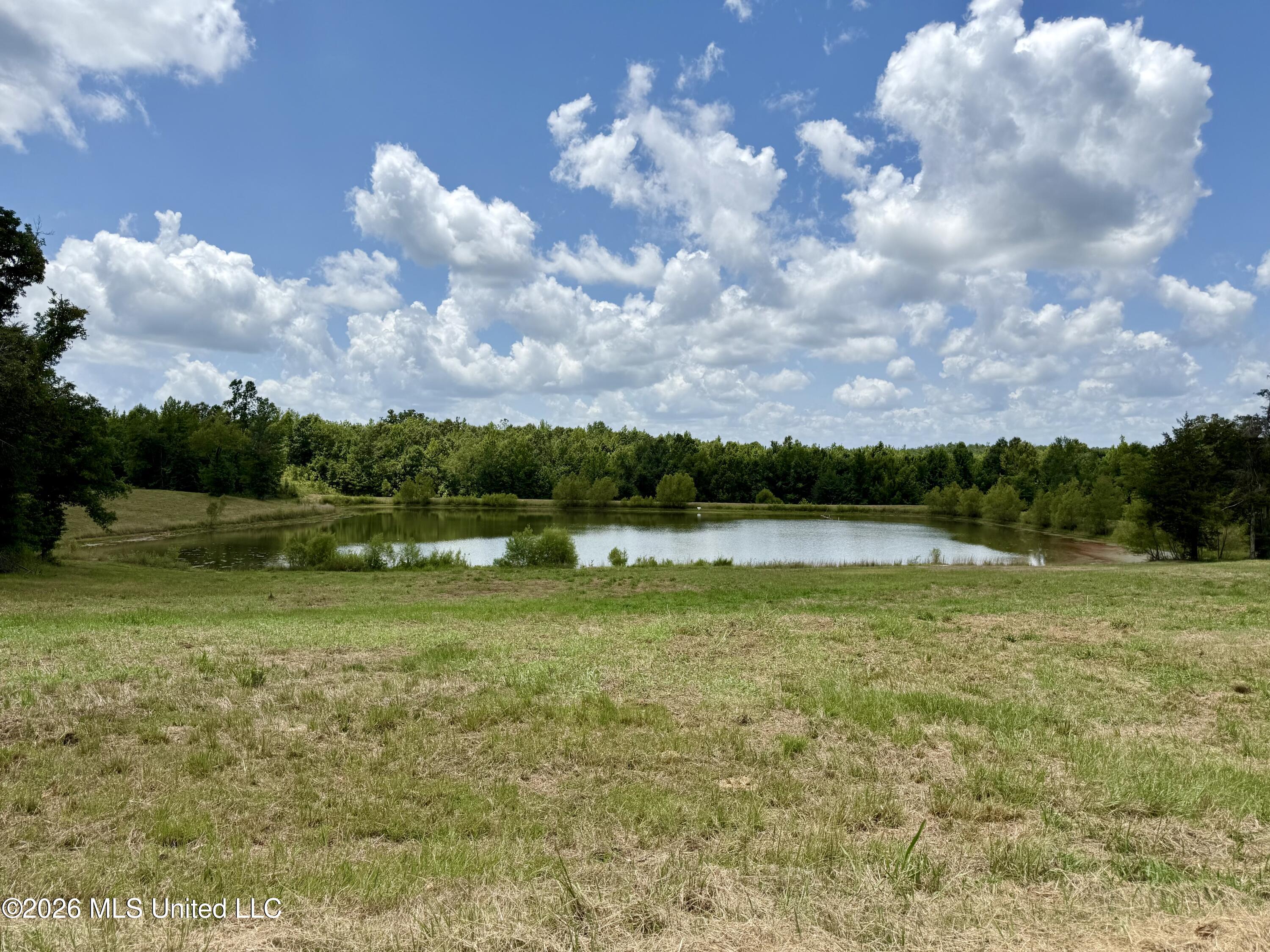 568 Smith Bailey Road Property Photo 89