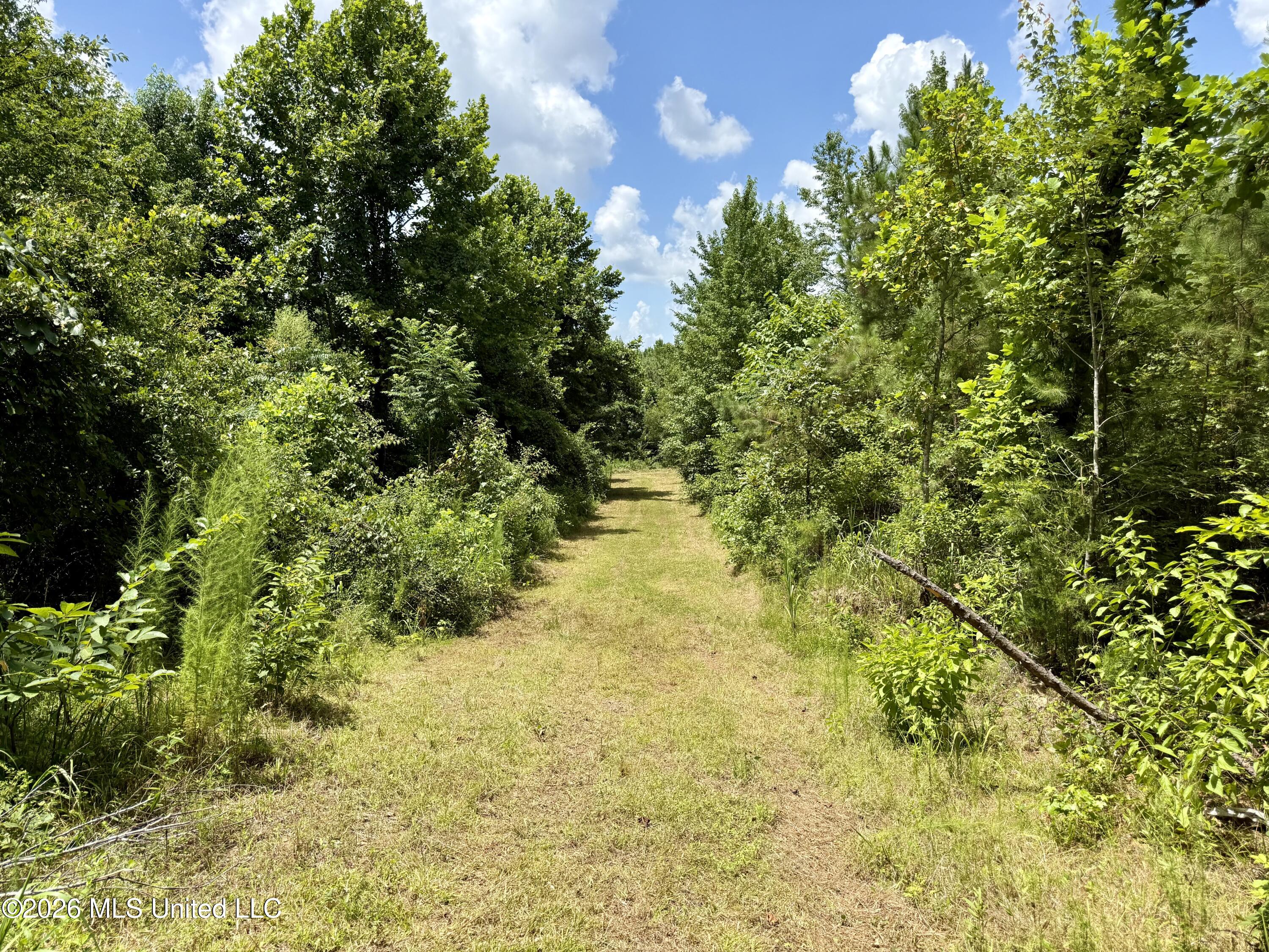 568 Smith Bailey Road Property Photo 91