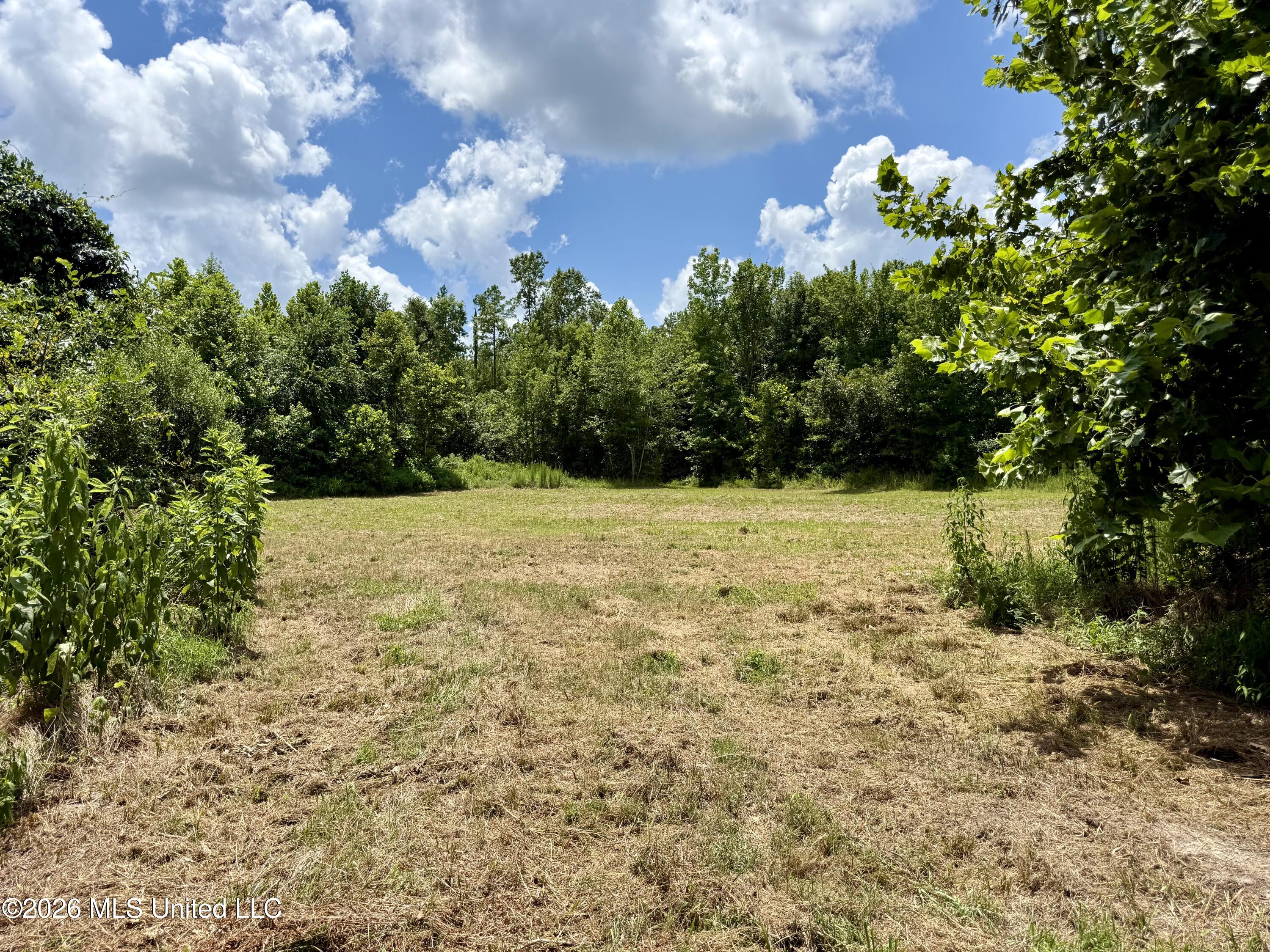 568 Smith Bailey Road Property Photo 92