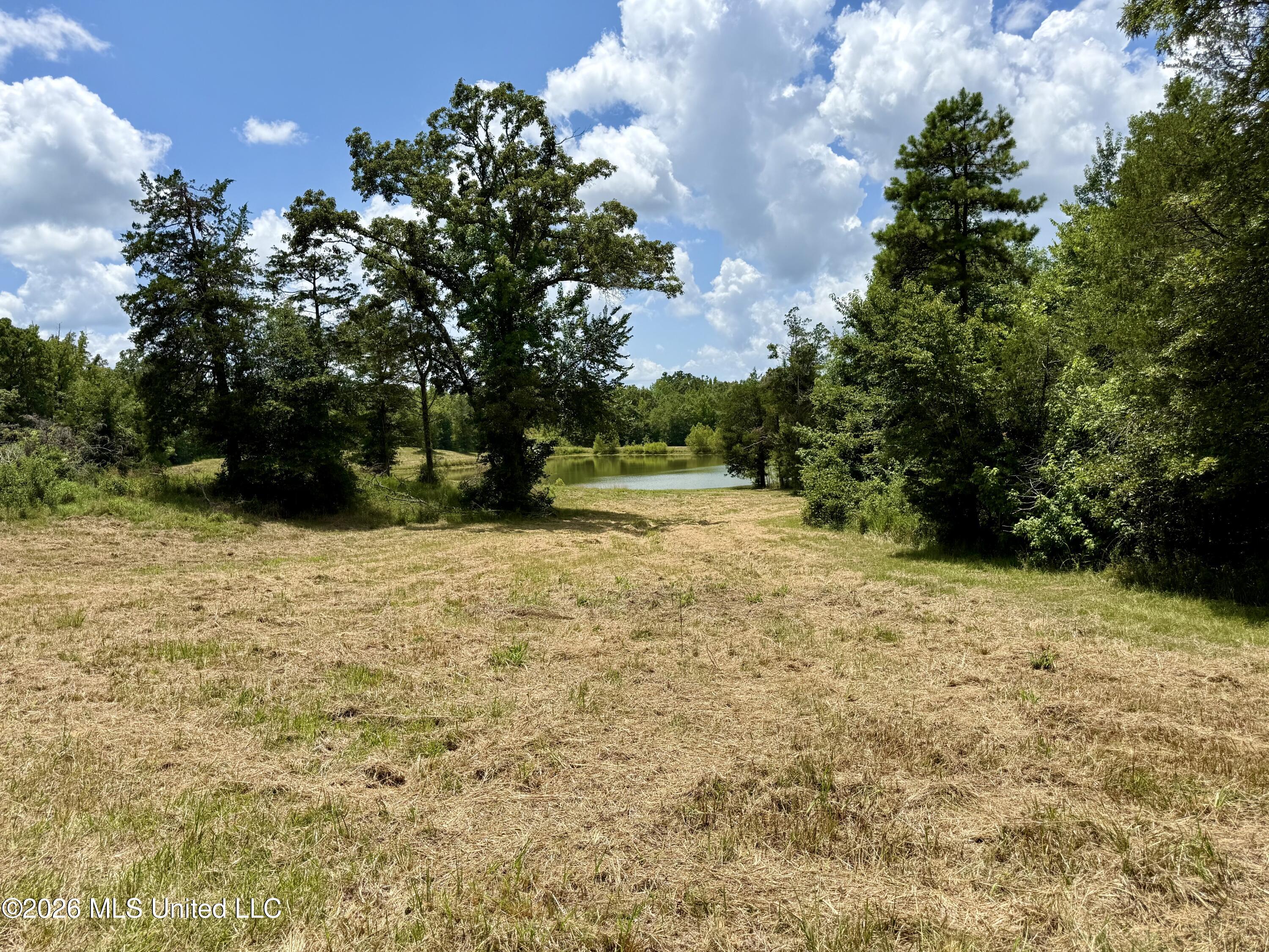 568 Smith Bailey Road Property Photo 95