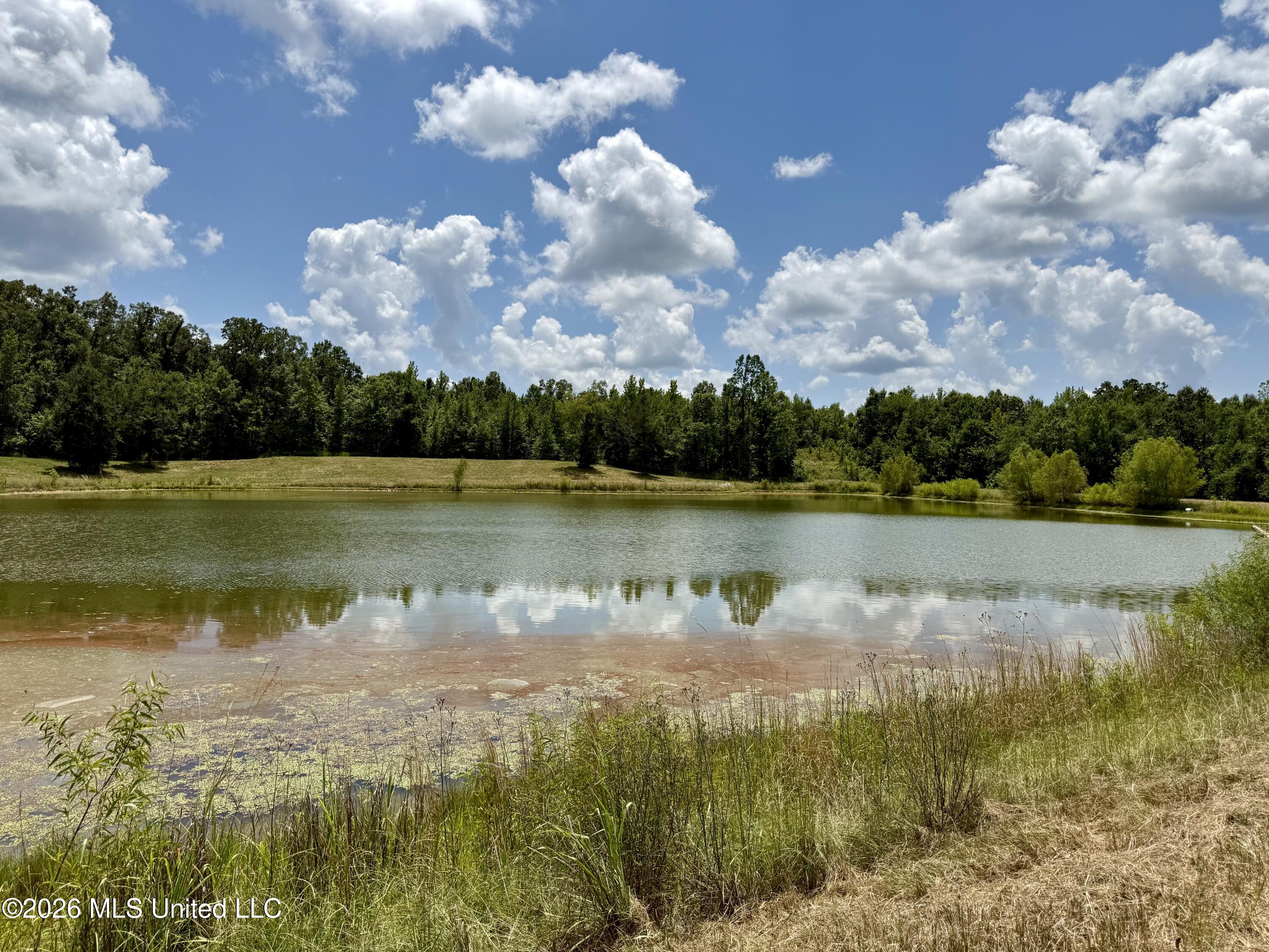 568 Smith Bailey Road Property Photo 96