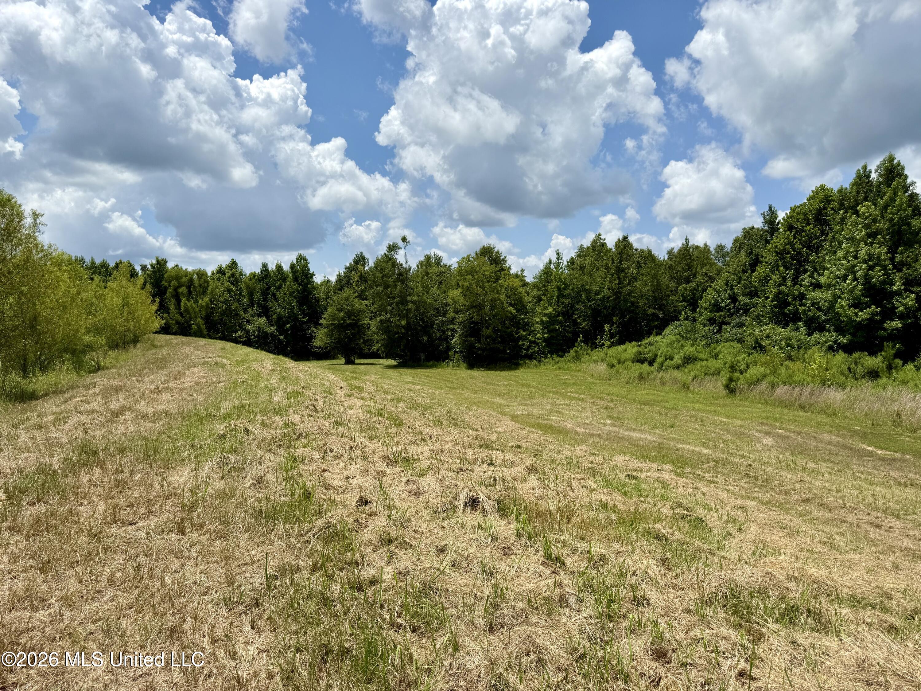 568 Smith Bailey Road Property Photo 97