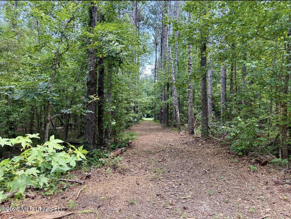 568 Smith Bailey Road Property Photo 101