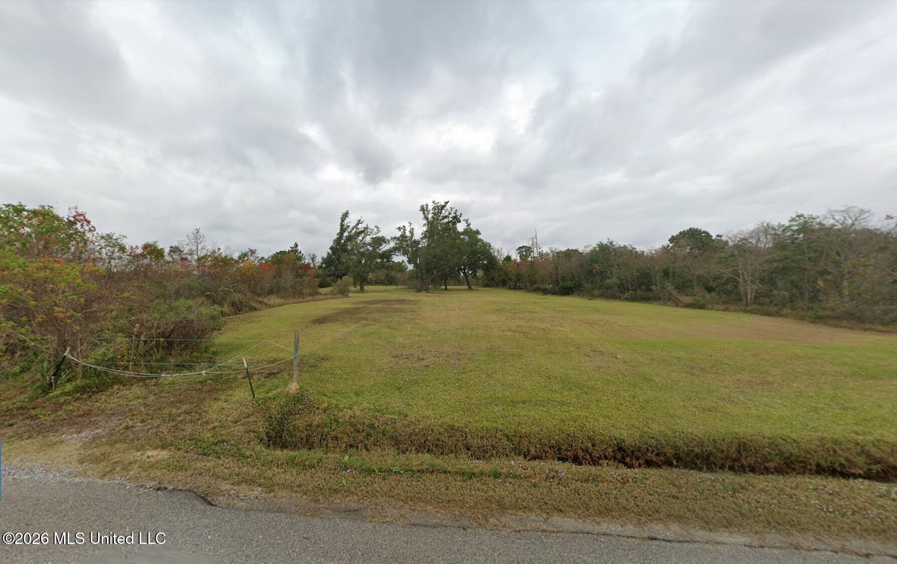 11219 Jordan River Drive Property Photo 2