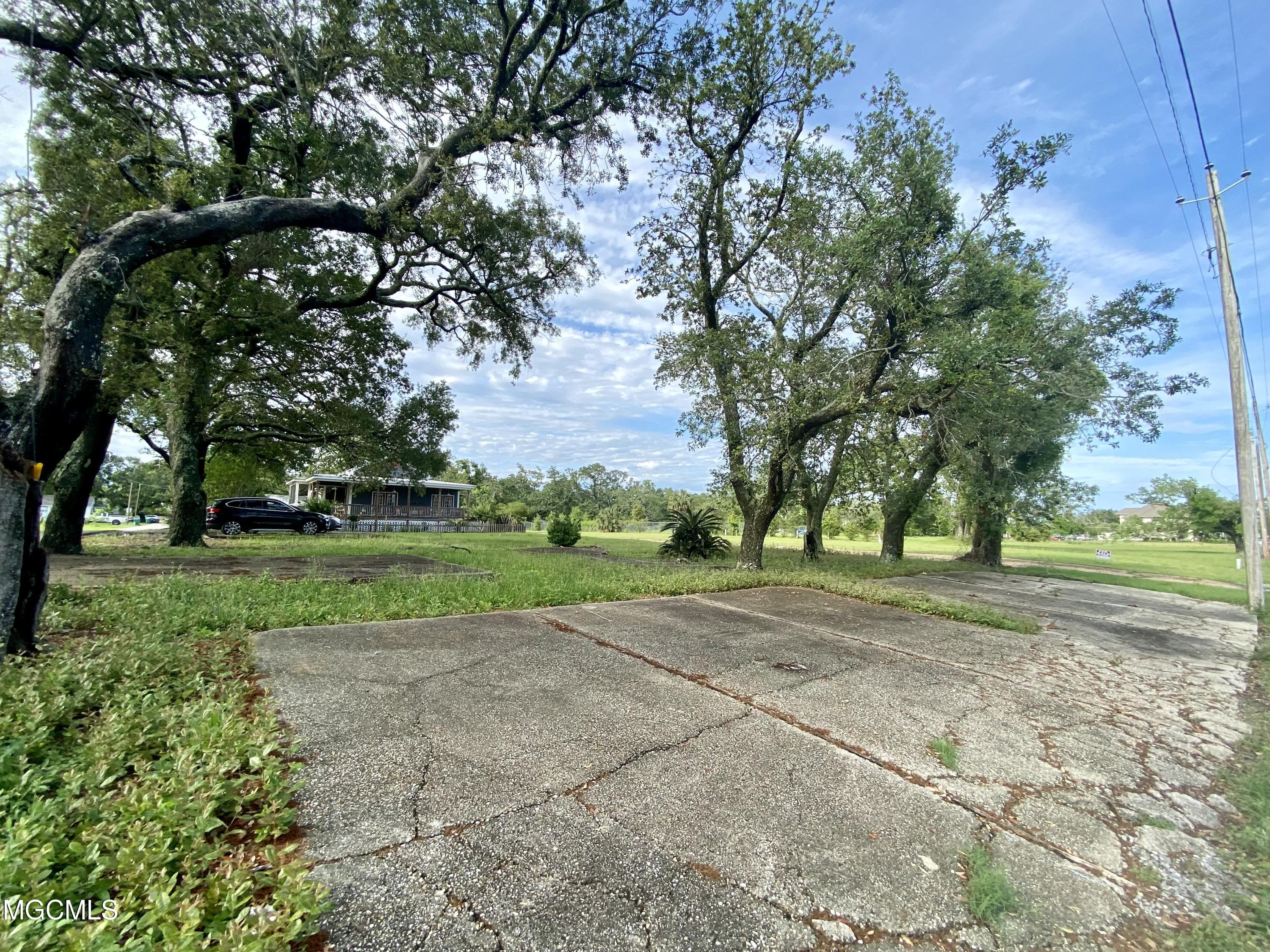 202 Palmetto Lane Property Photo 3