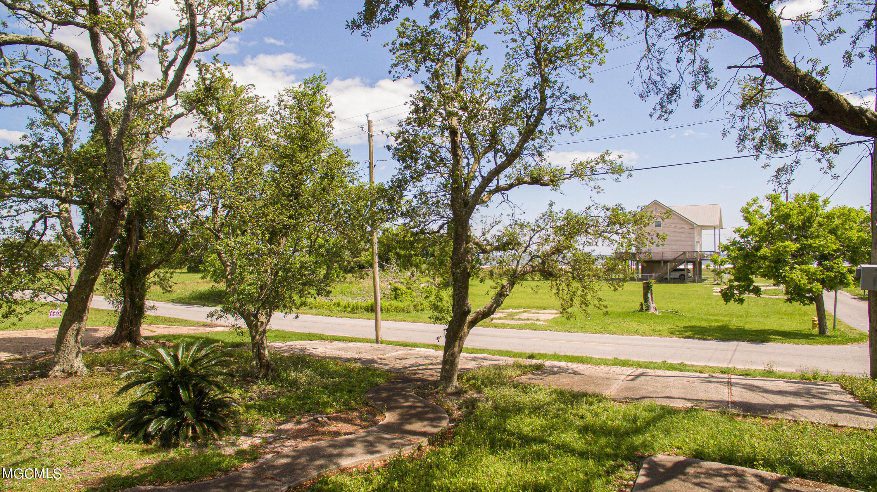 202 Palmetto Lane Property Photo 8