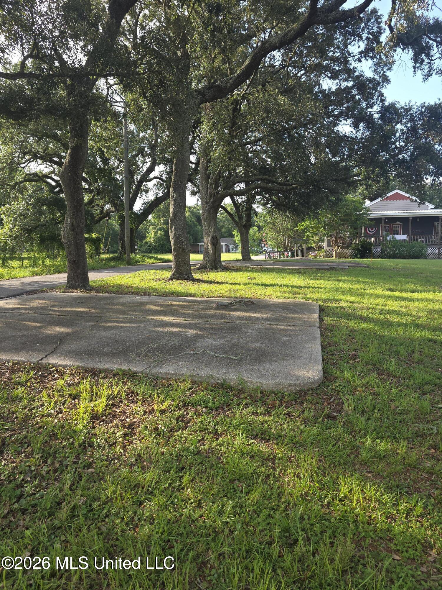 202 Palmetto Lane Property Photo 14