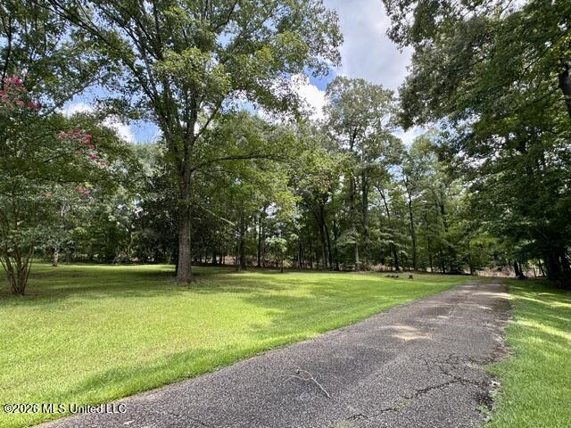 481 Greenfield Road Property Photo 2