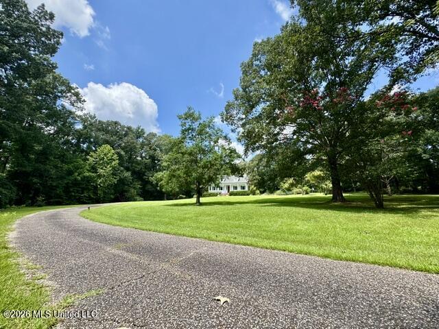 481 Greenfield Road Property Photo 3
