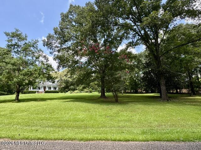 481 Greenfield Road Property Photo 4