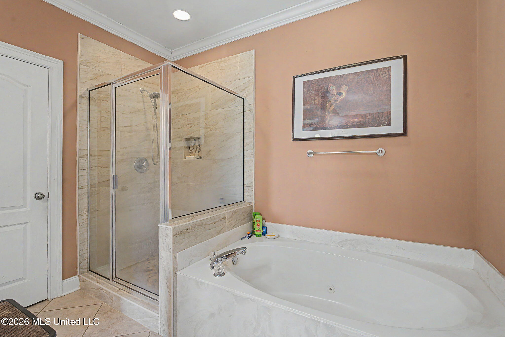 2578 Oak Crossing Drive Property Photo 29