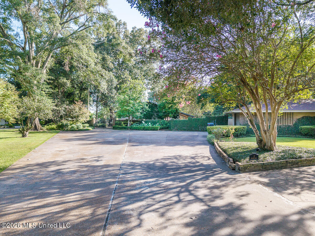 3 Bingaman Lane Property Photo 6