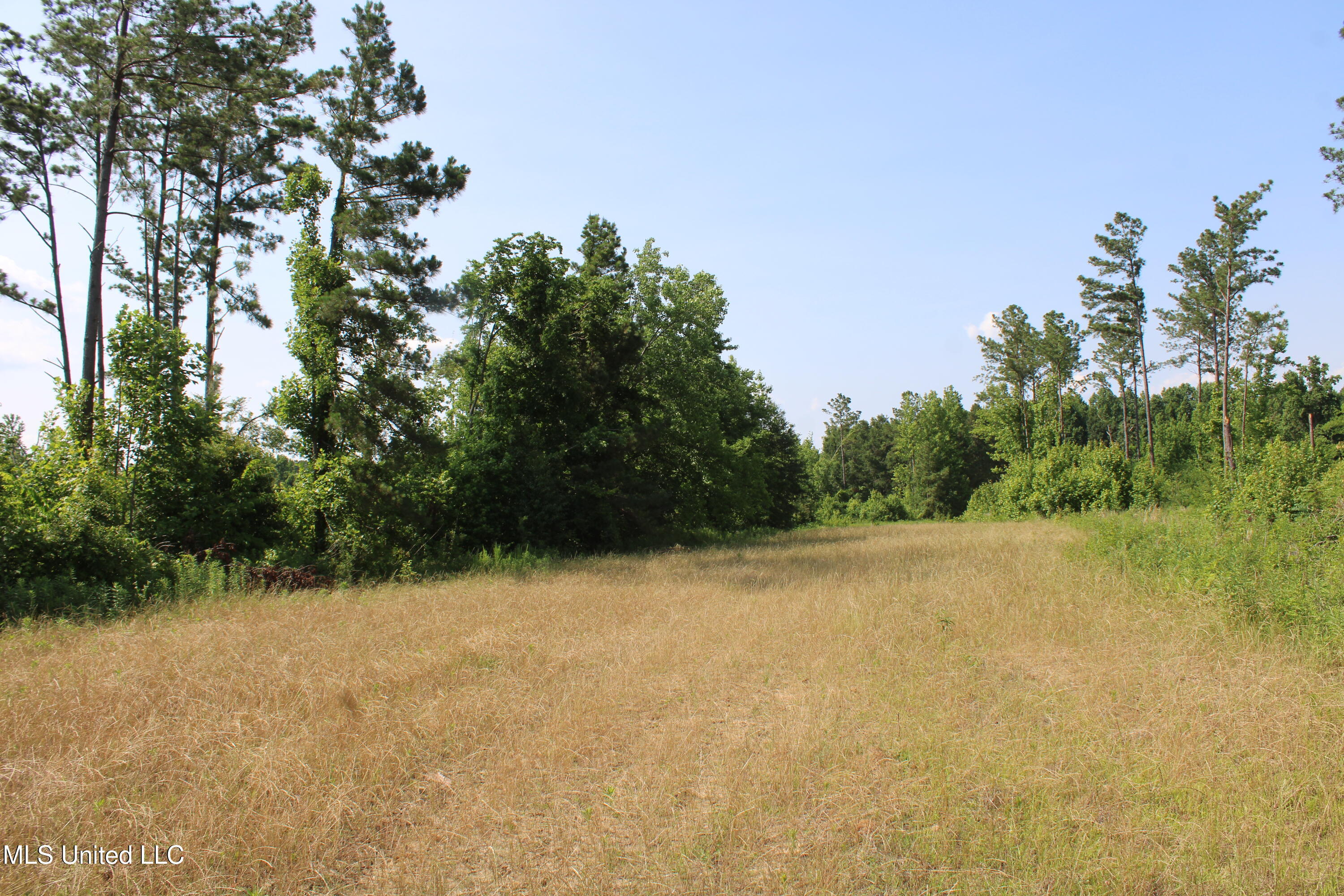 0 Baldwin Road Property Photo 45