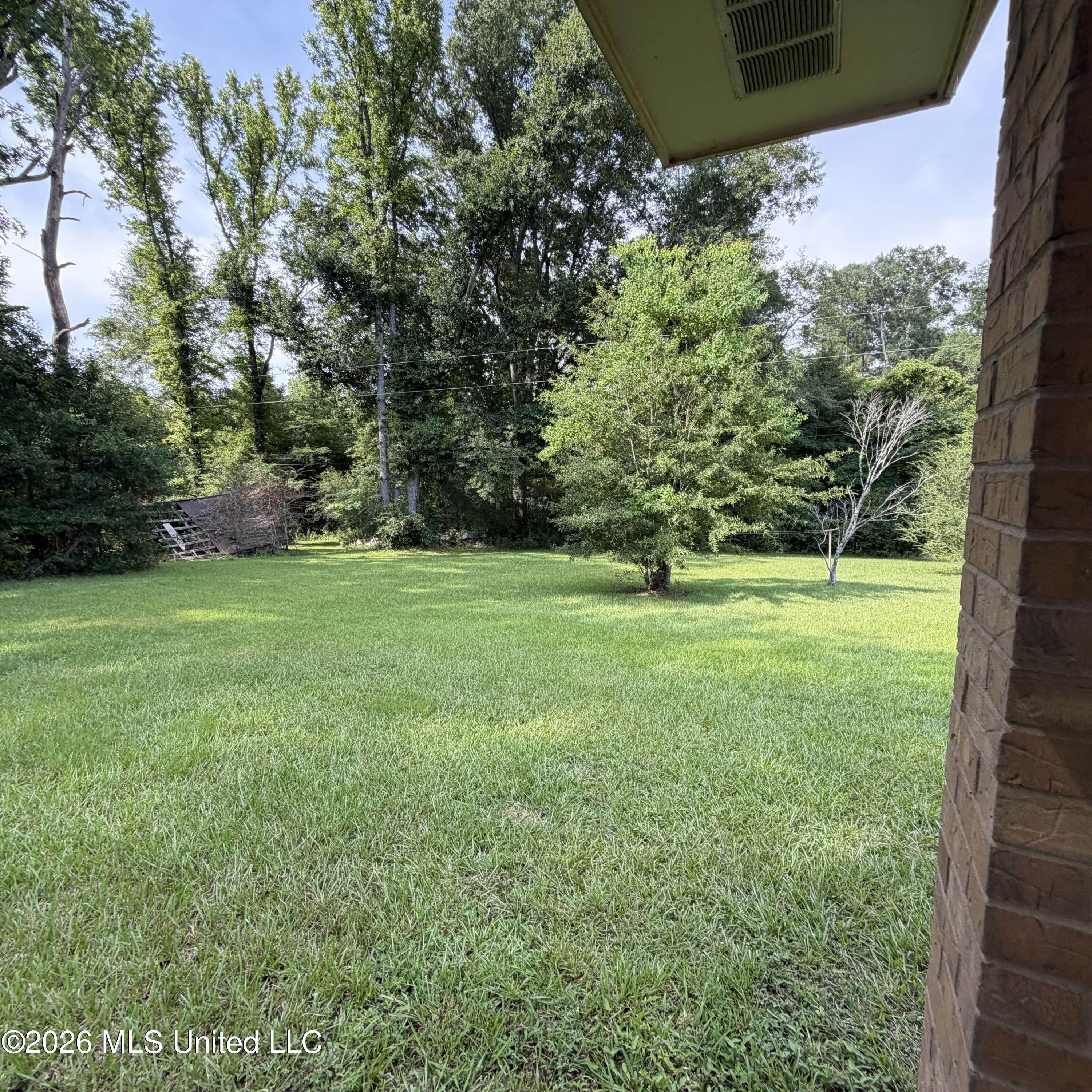 3847 Old Jackson Road Property Photo 3