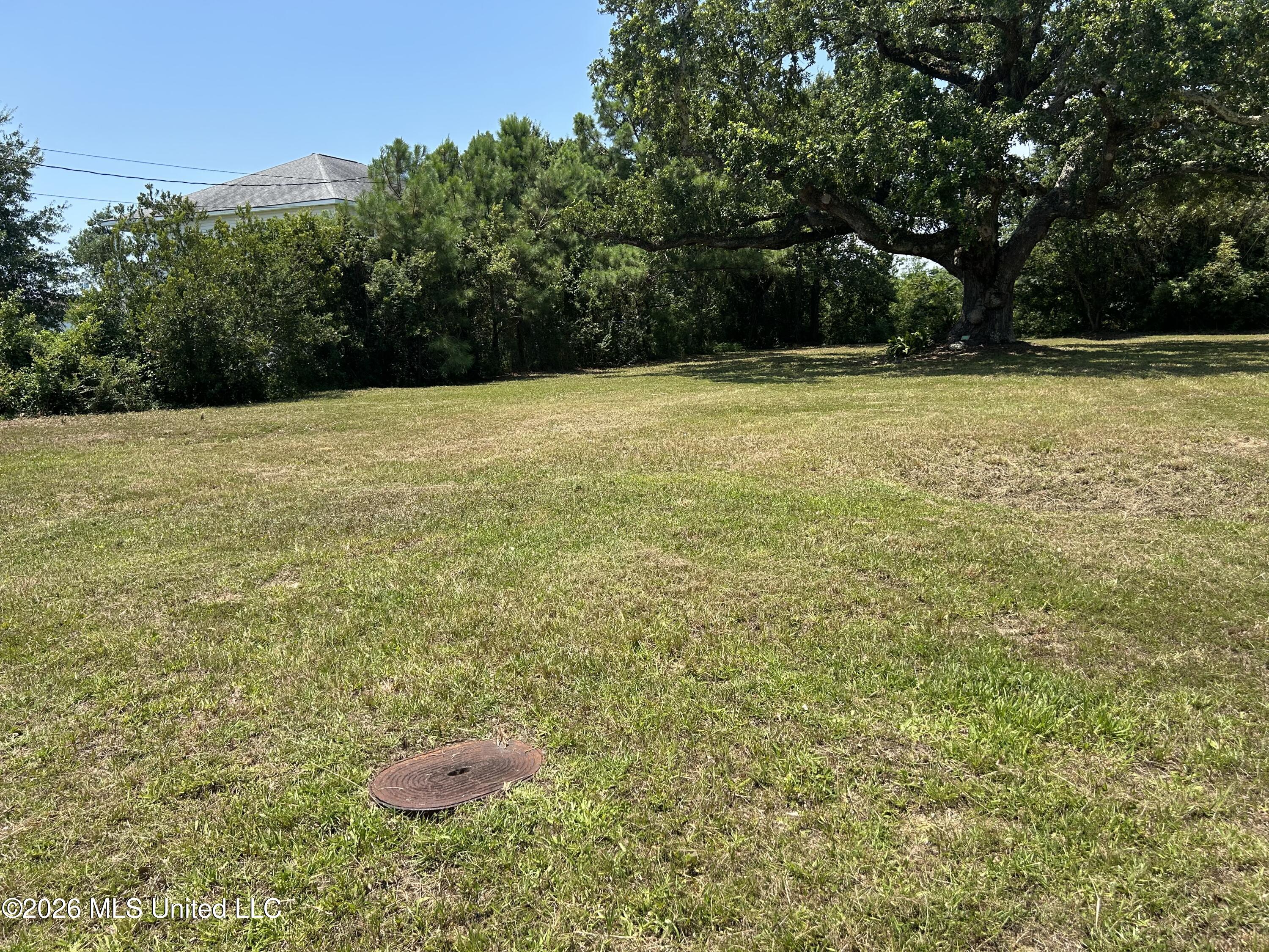209 Hillcrest Street Property Photo 5