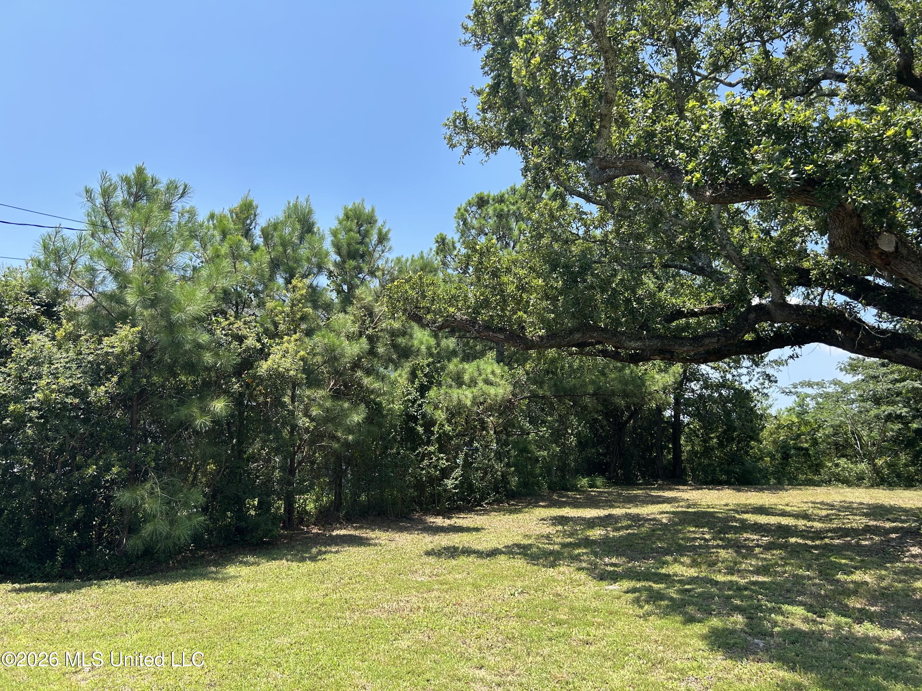 209 Hillcrest Street Property Photo 6