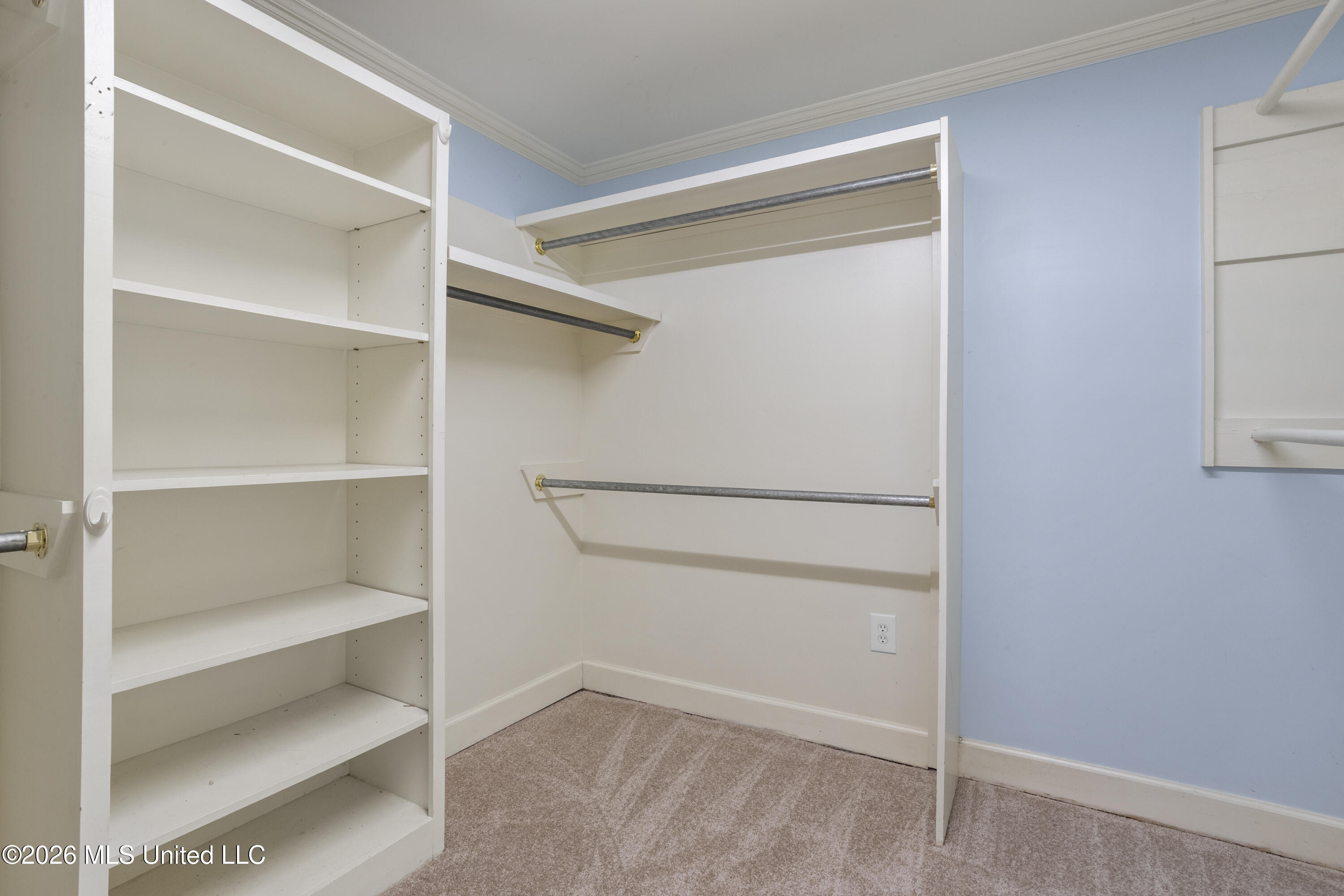 11 Japonica Drive Property Photo 35