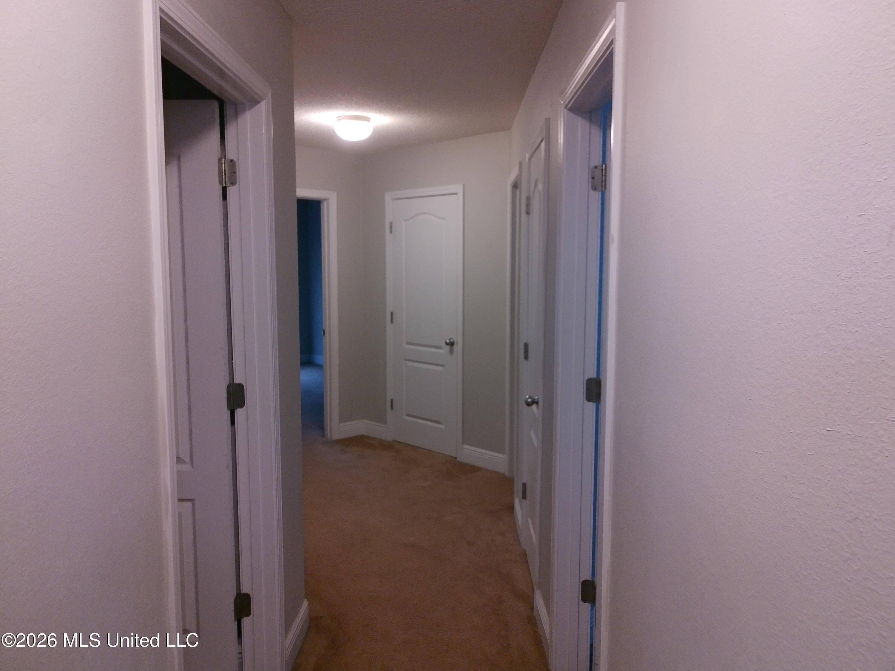 14597 Bruce Cove Property Photo 11
