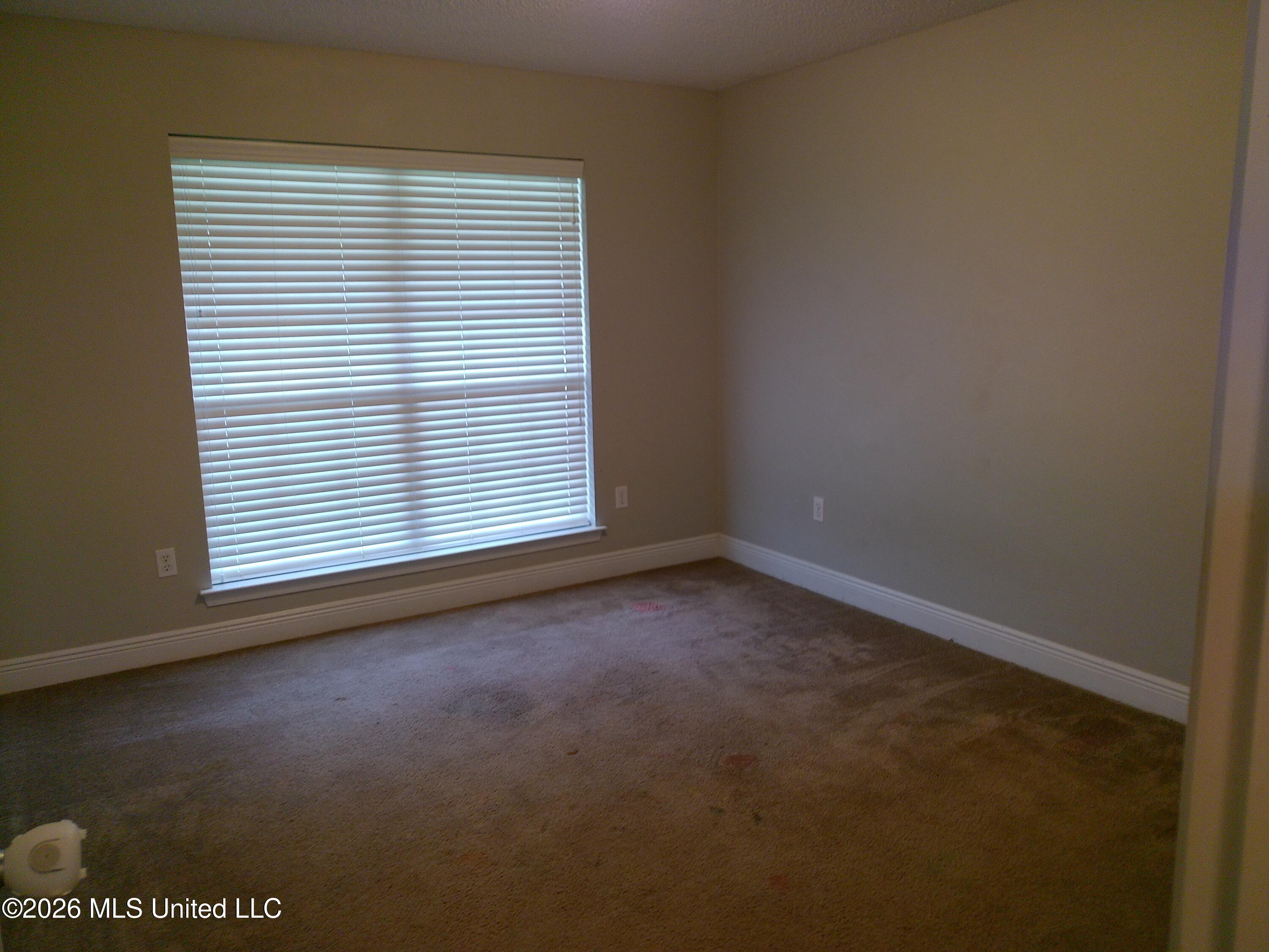 14597 Bruce Cove Property Photo 15