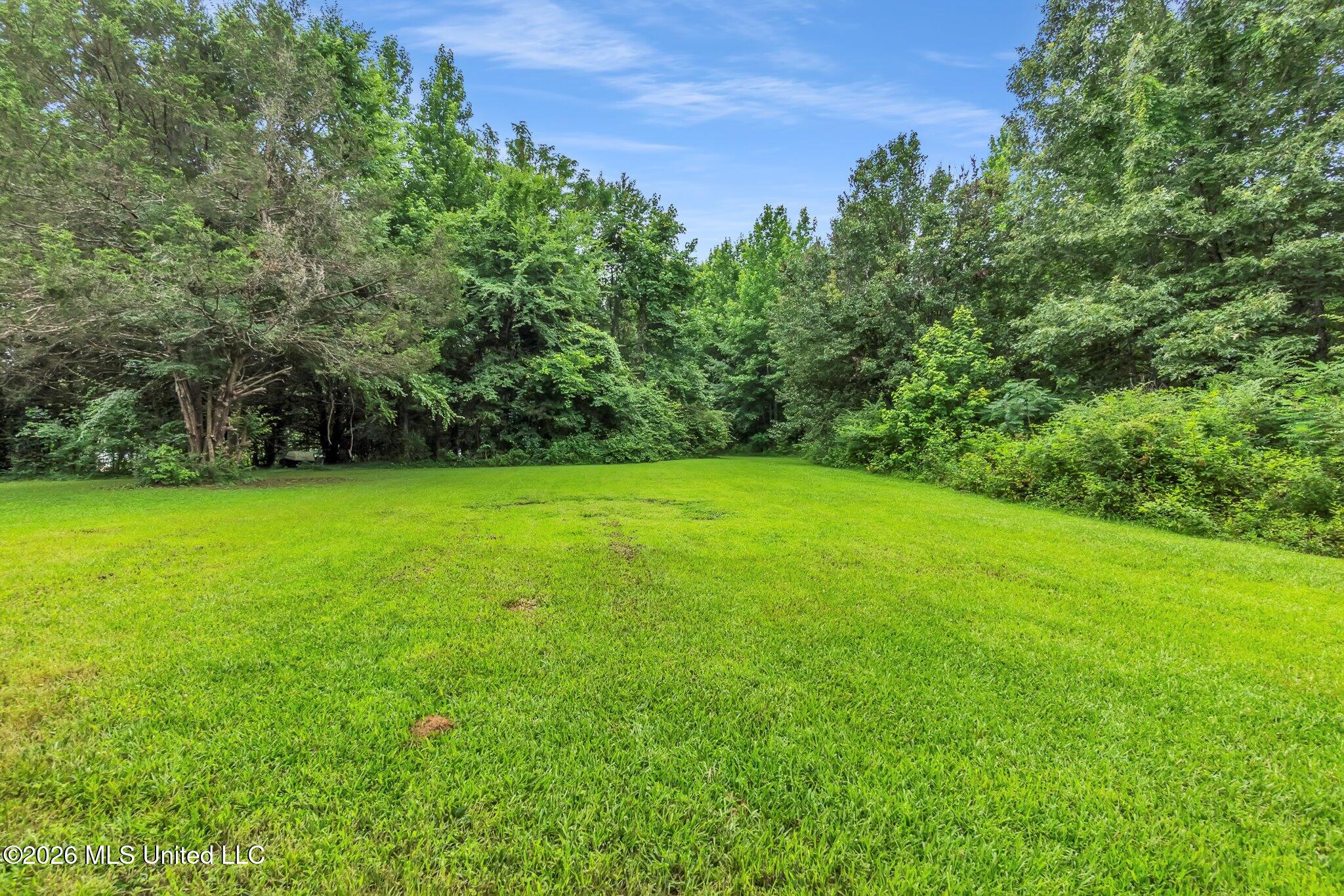 111 Dogwood Road Property Photo 21