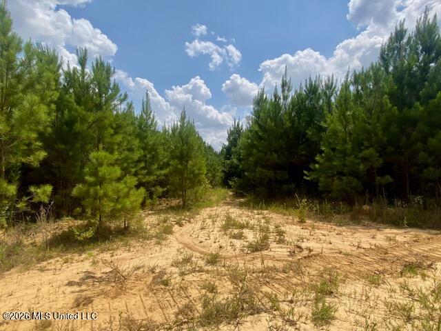County Line Road Property Photo 5
