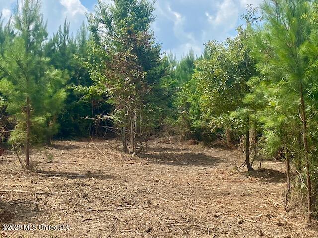 County Line Road Property Photo 2