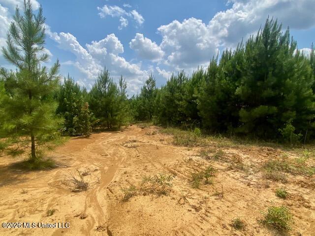 County Line Road Property Photo 6