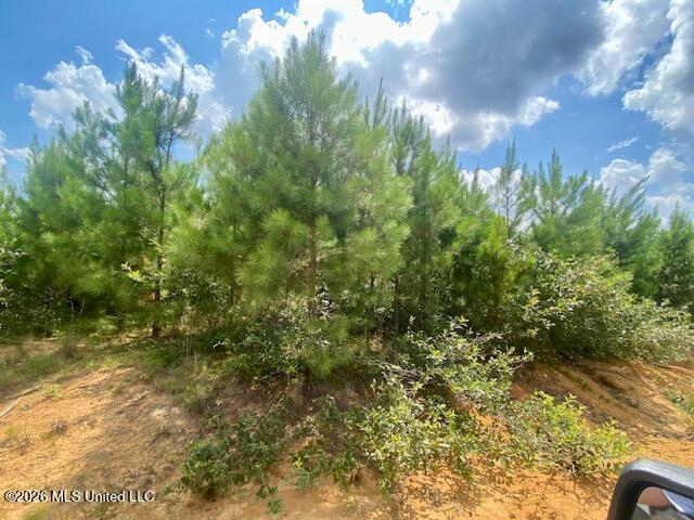 County Line Road Property Photo 9