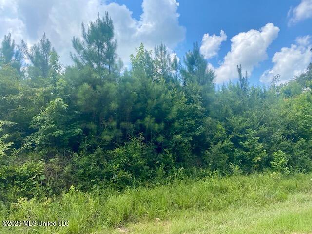 County Line Road Property Photo 12