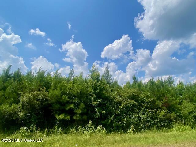County Line Road Property Photo 3