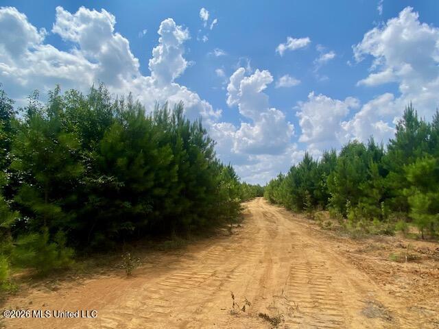 County Line Road Property Photo 4