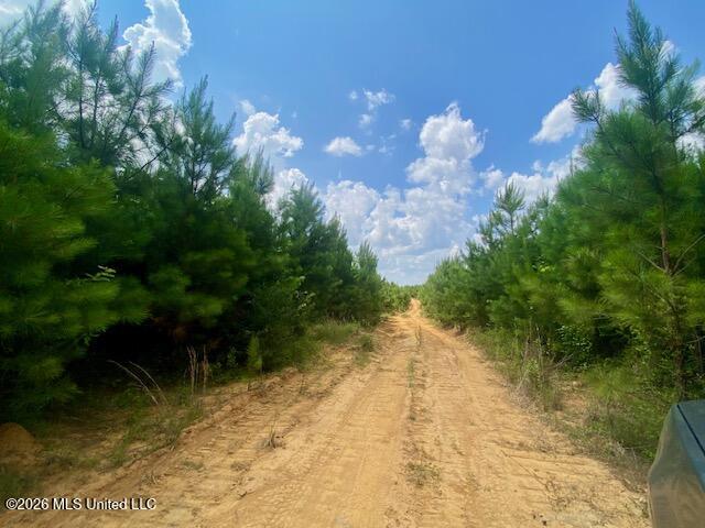 County Line Road Property Photo 7