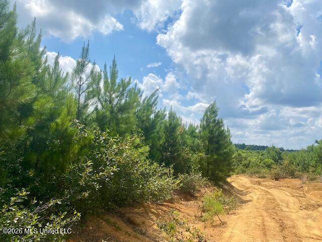 County Line Road Property Photo 8