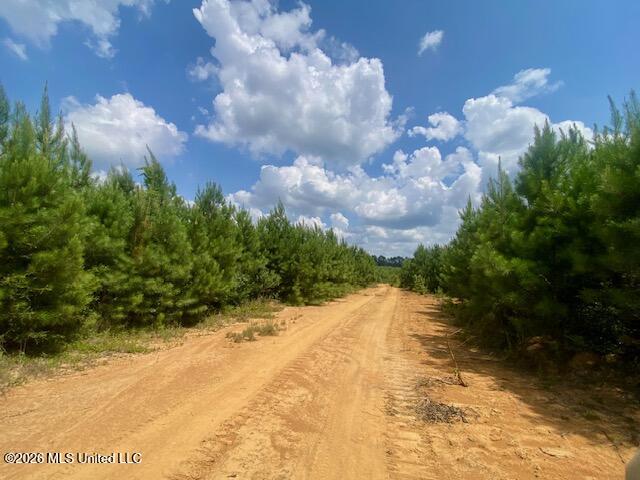 County Line Road Property Photo 10